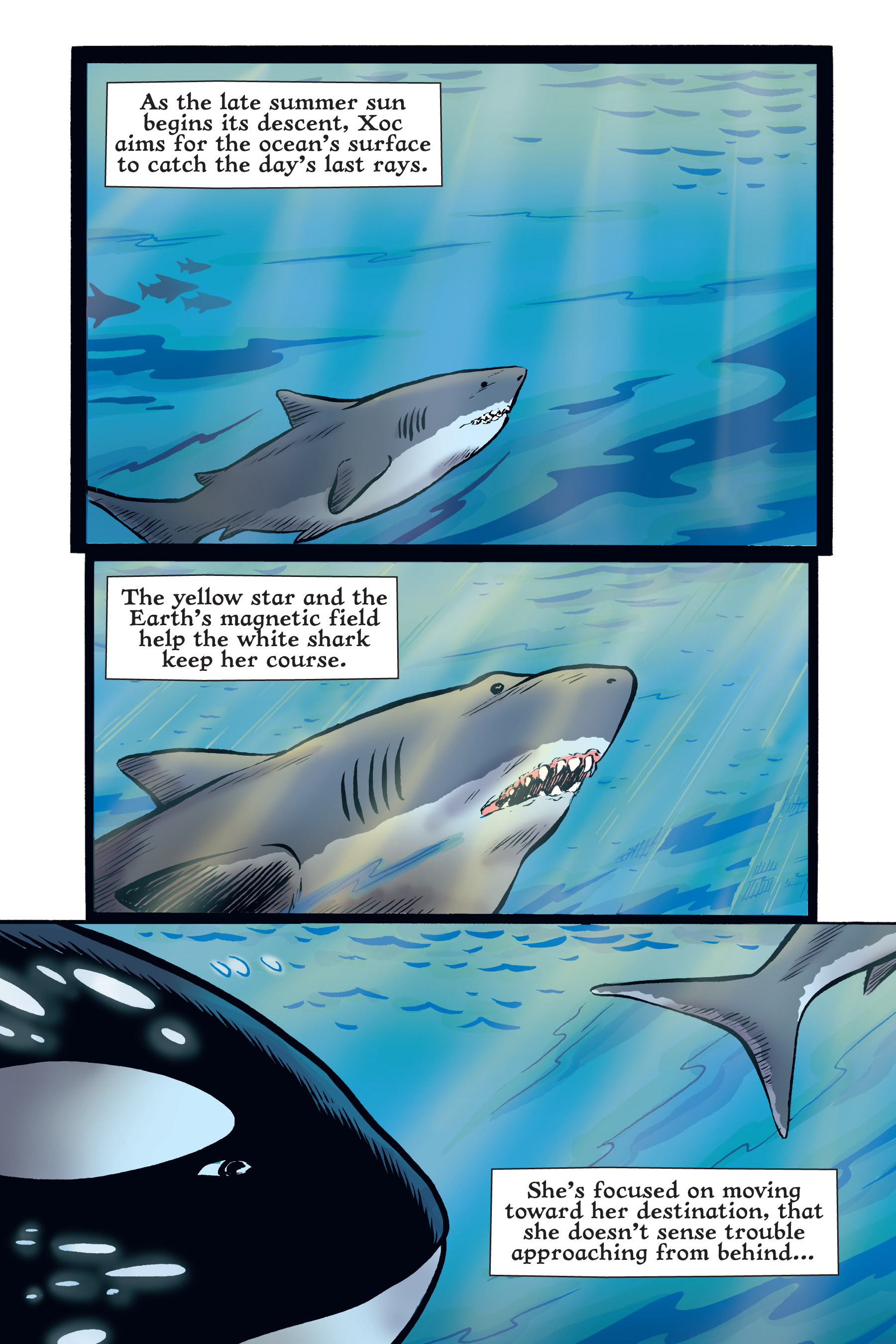 Read online Xoc: Journey of a Great White comic -  Issue # TPB - 41