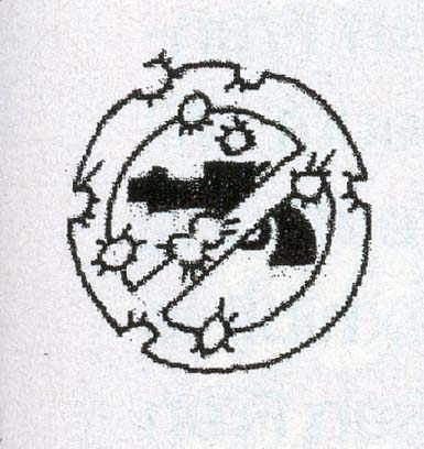 Read online MAD comic -  Issue #515 - 7