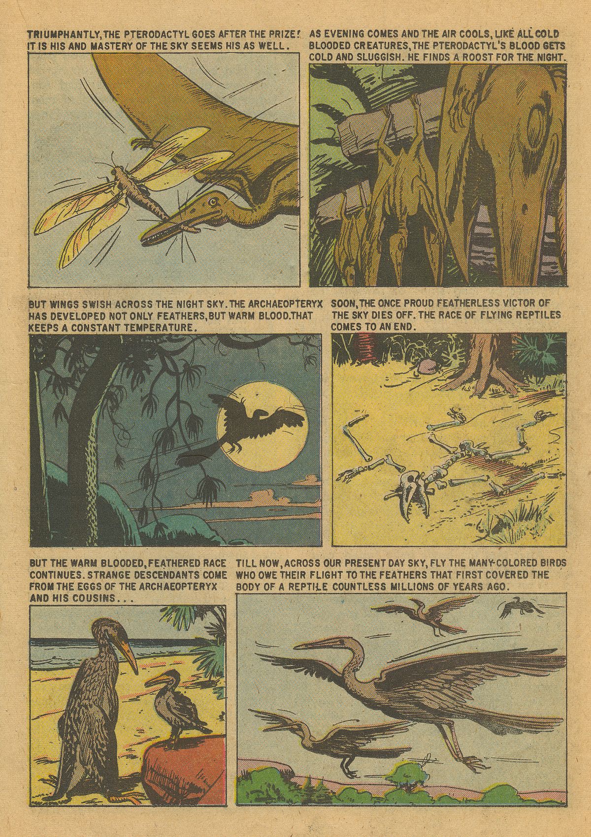 Read online Turok, Son of Stone comic -  Issue #16 - 19