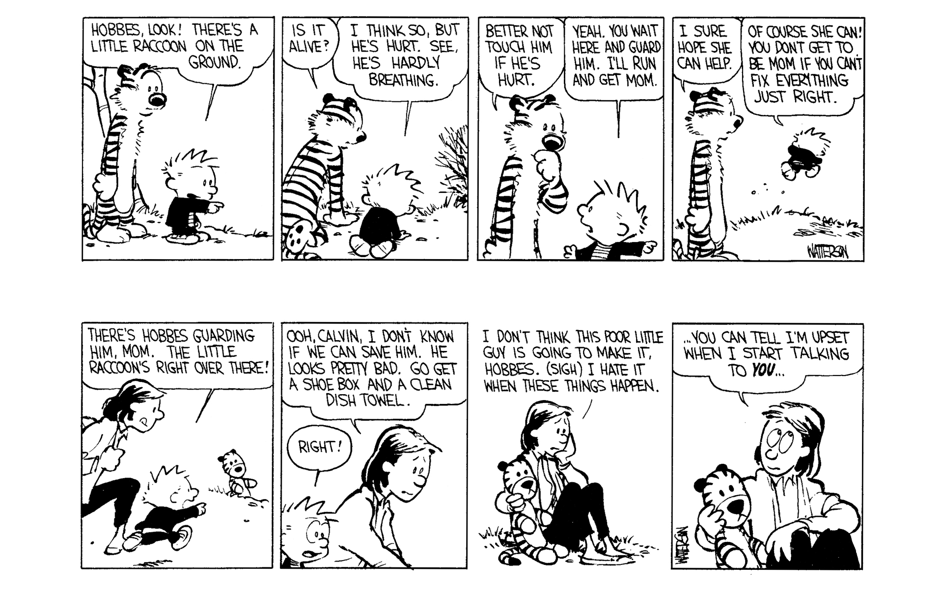 Read online Calvin and Hobbes comic -  Issue #2 - 122