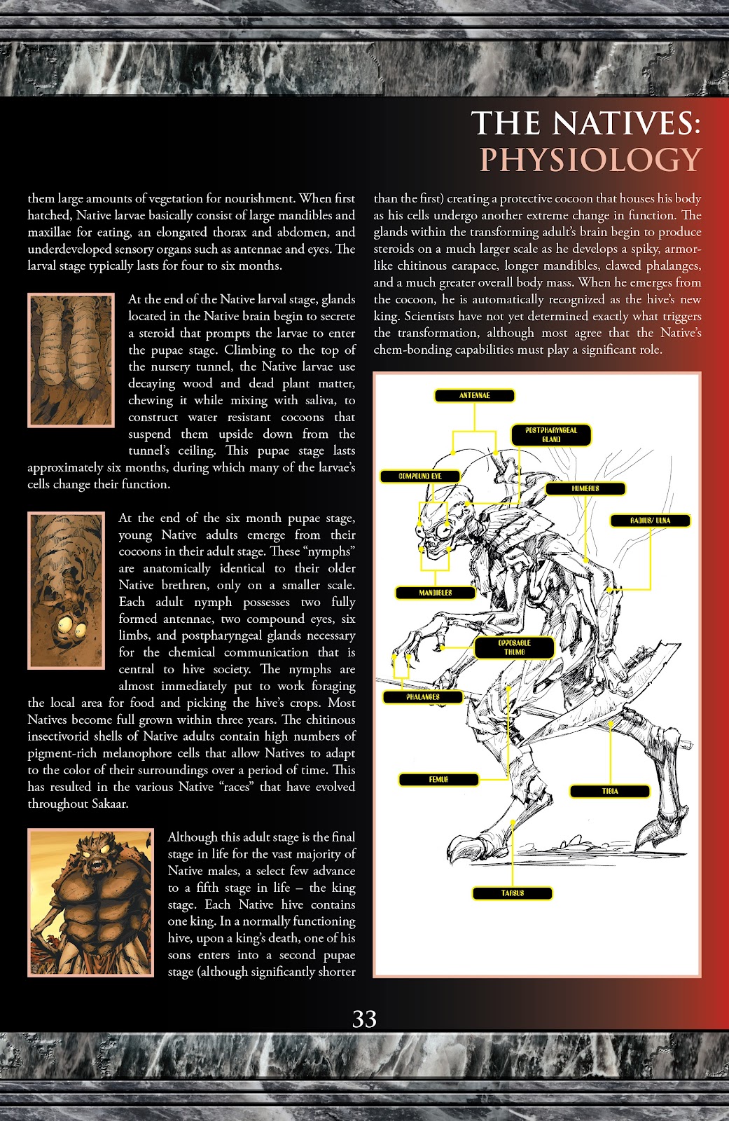 Hulk: Planet Hulk Omnibus issue TPB (Part 6) - Page 94