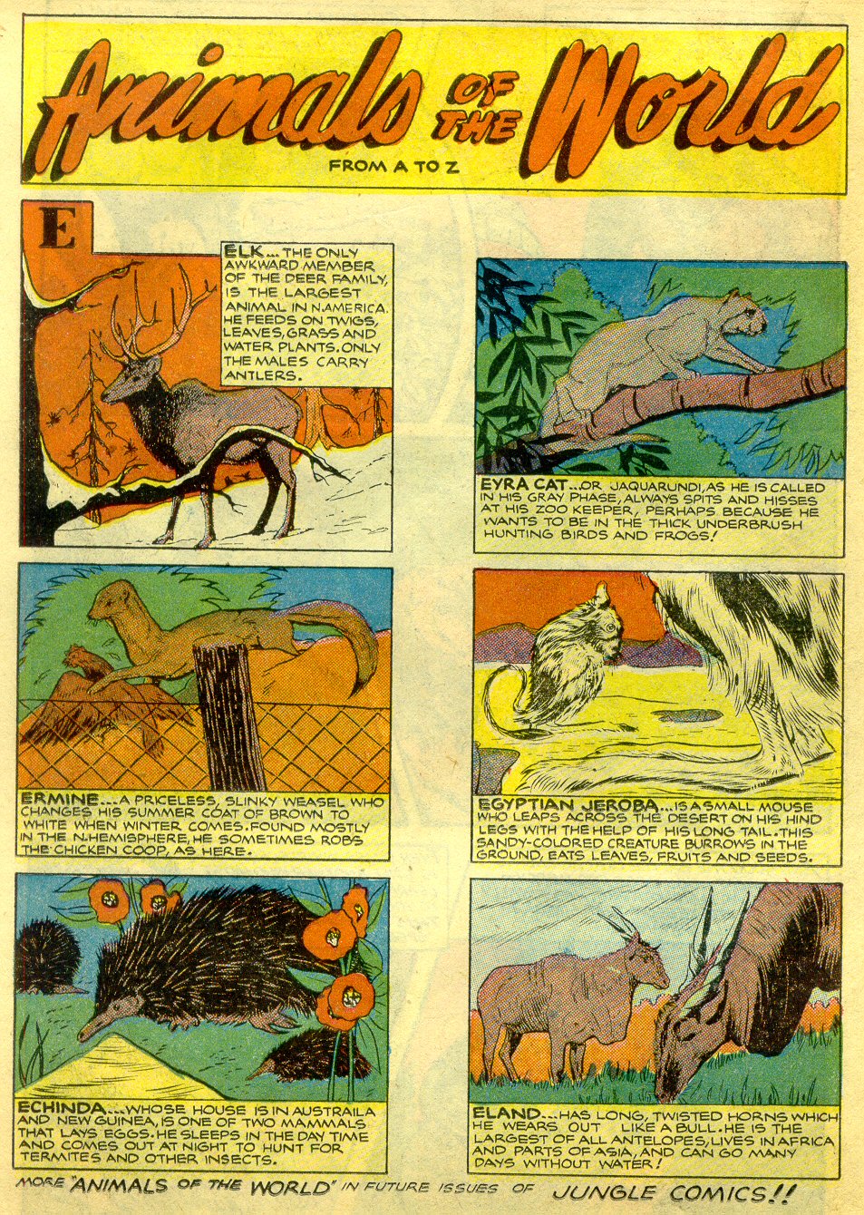 Read online Jungle Comics comic -  Issue #126 - 20
