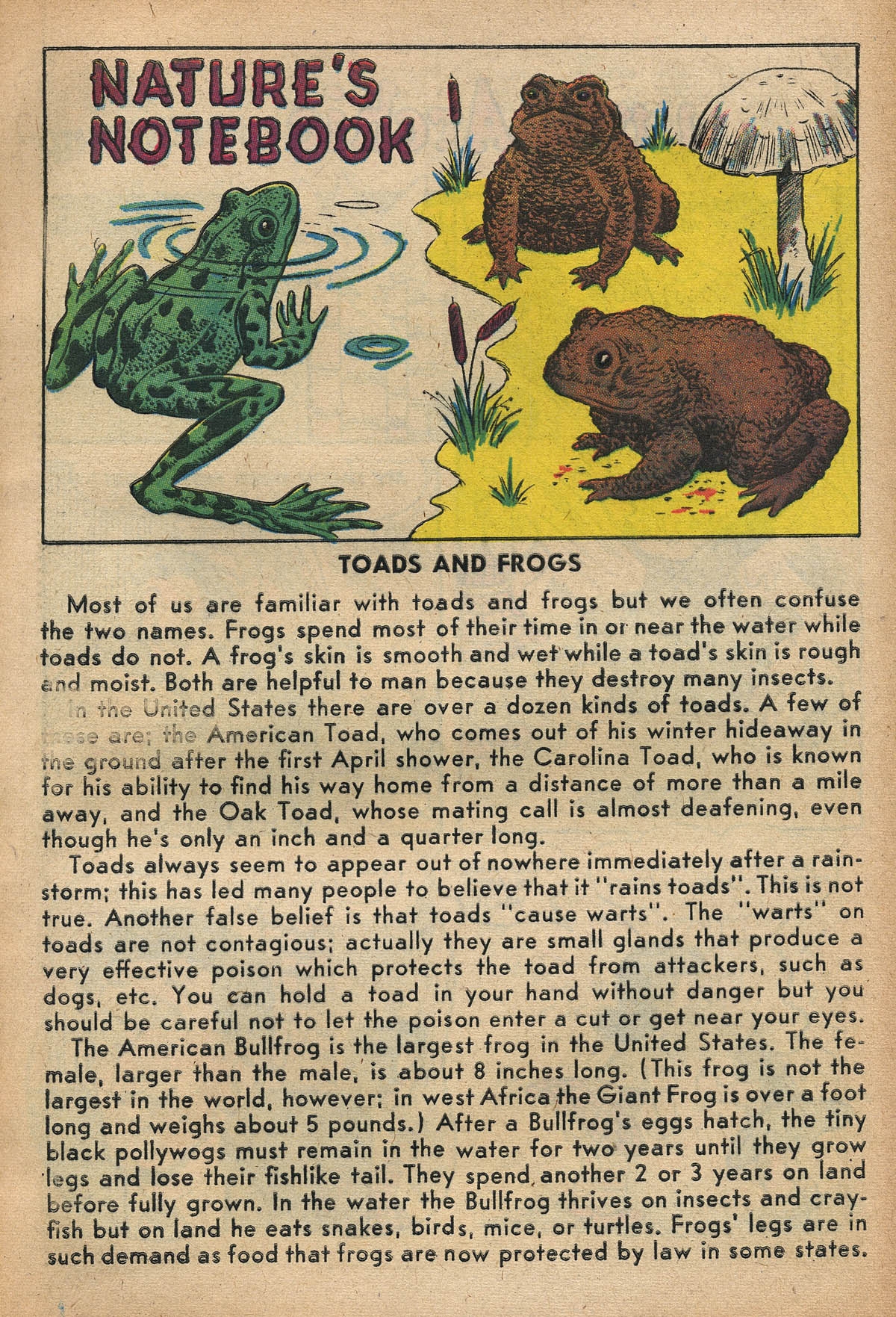 Read online Little Archie (1956) comic -  Issue #4 - 23