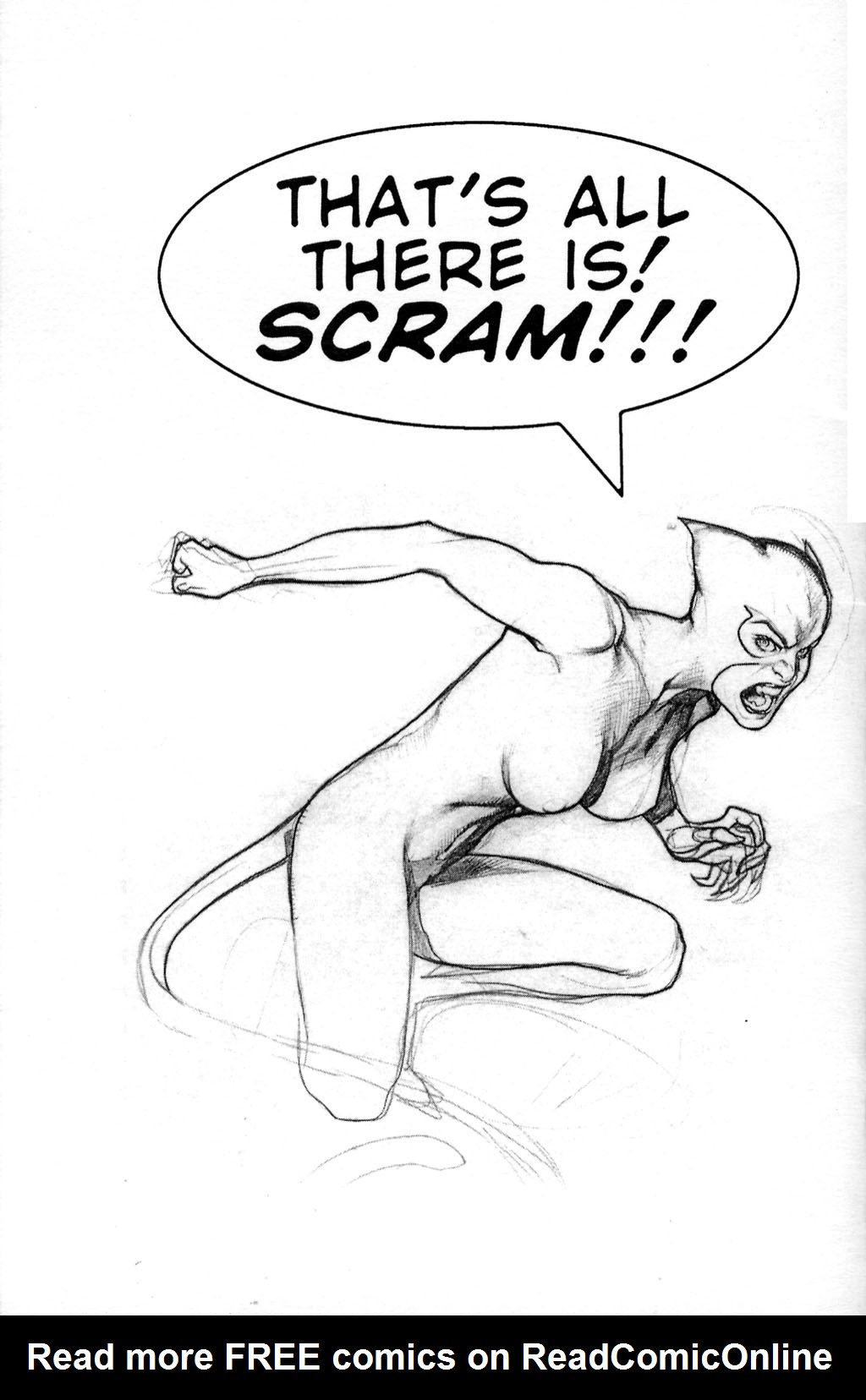 Read online Adam Hughes Convention Sketchbooks comic -  Issue # Full - 23