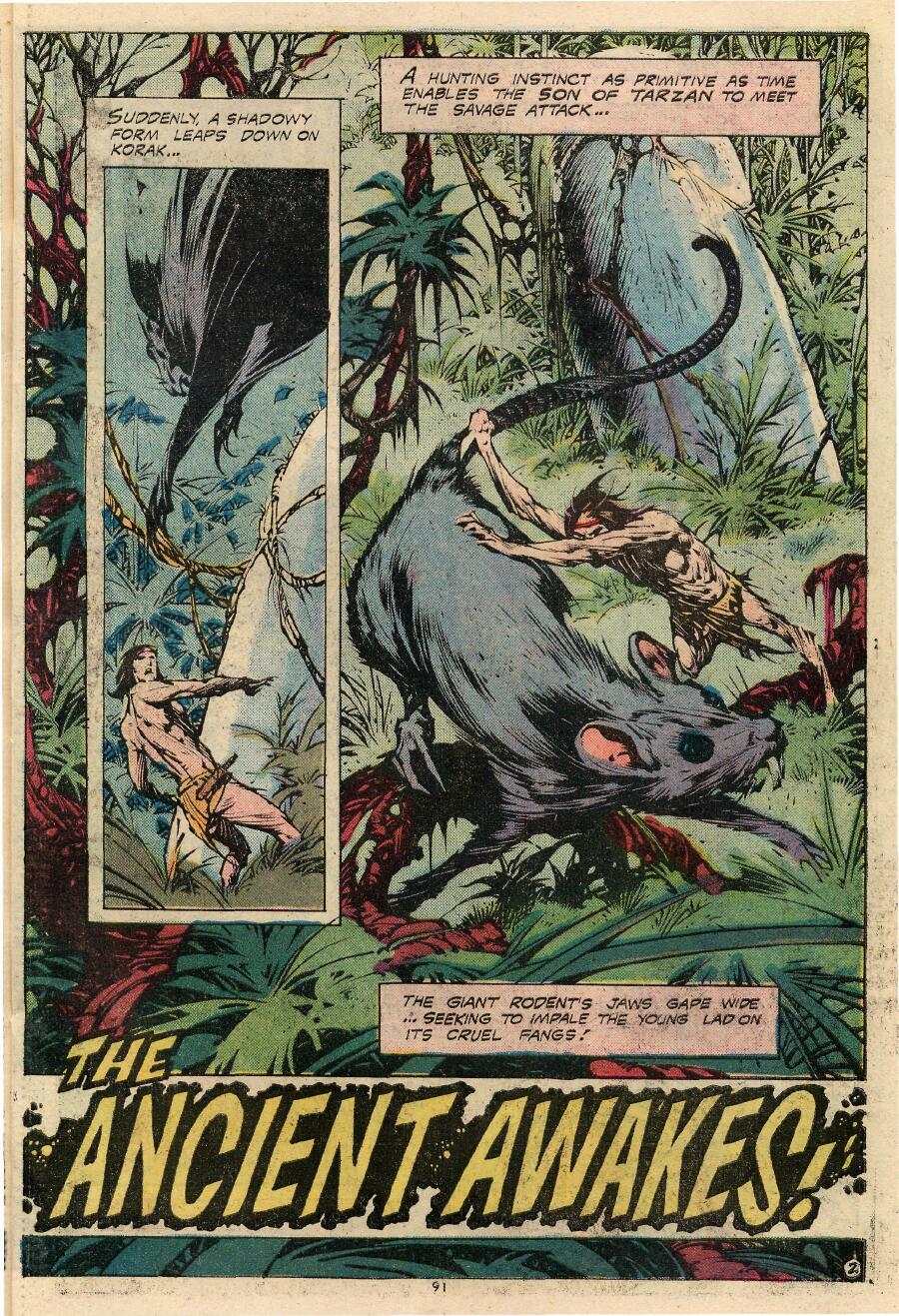 Read online Tarzan (1972) comic -  Issue #231 - 93