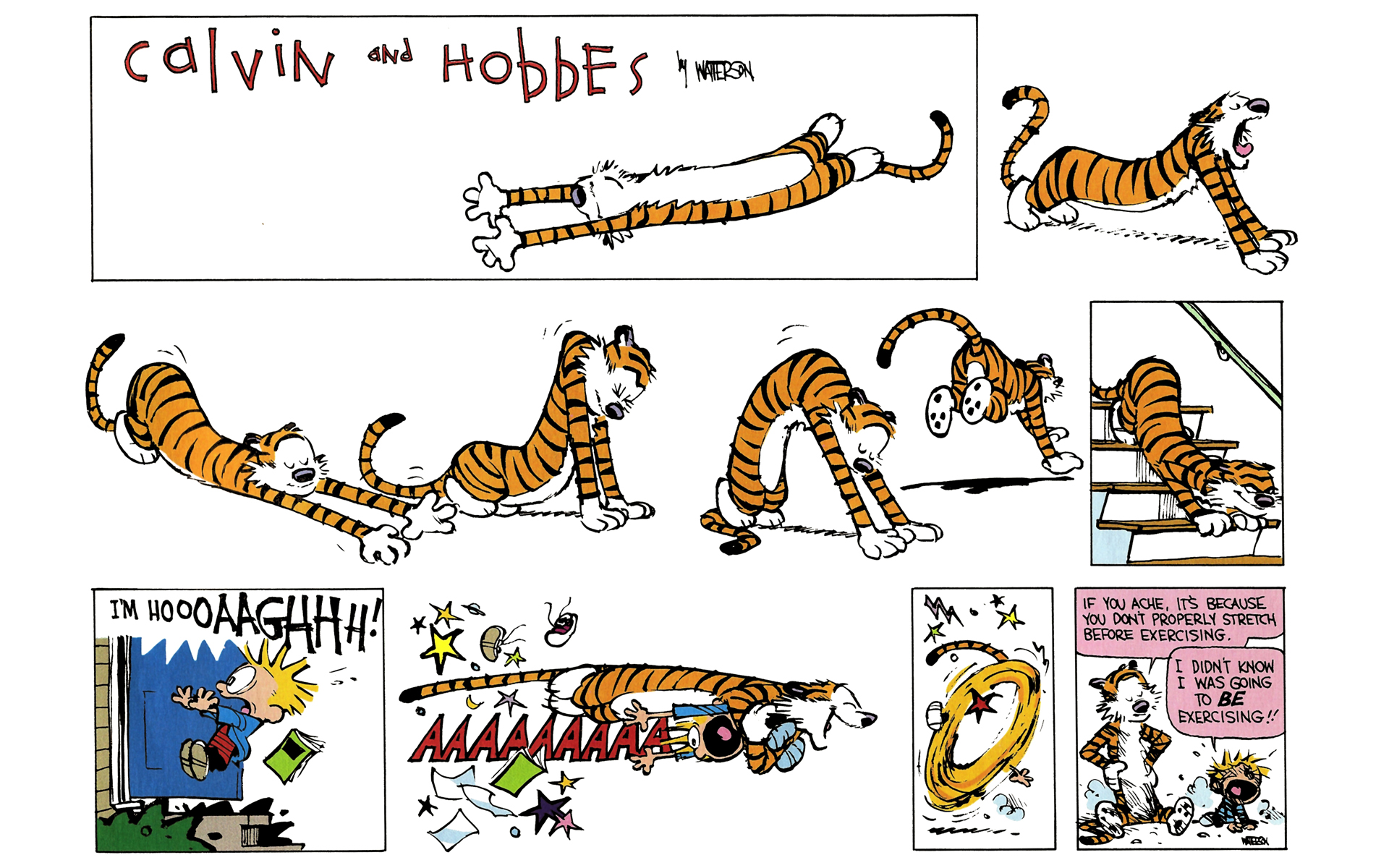 Read online Calvin and Hobbes comic -  Issue #8 - 14