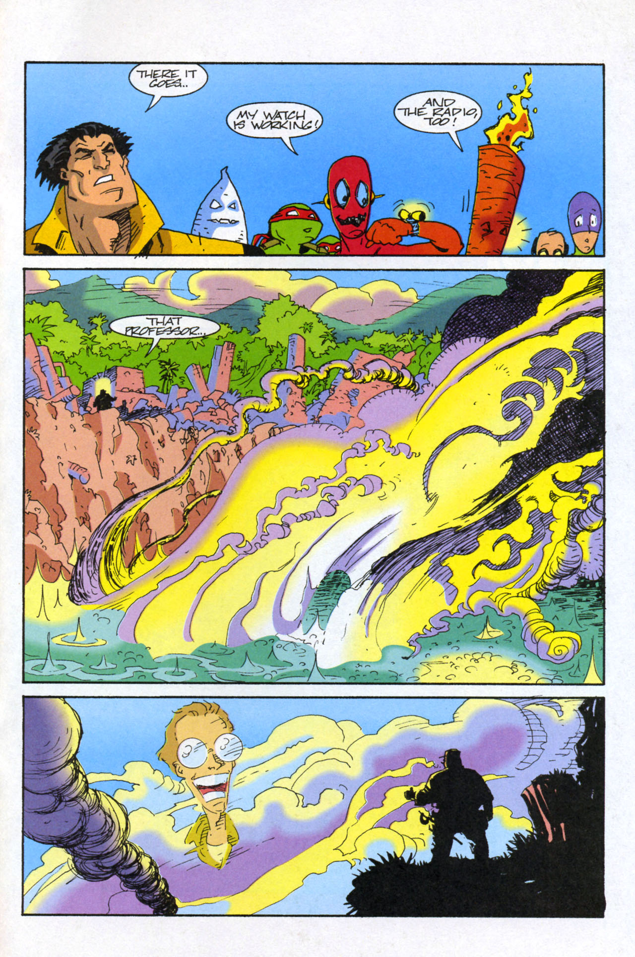 Teenage Mutant Ninja Turtles/Flaming Carrot Crossover Issue #4 #4 - English 29