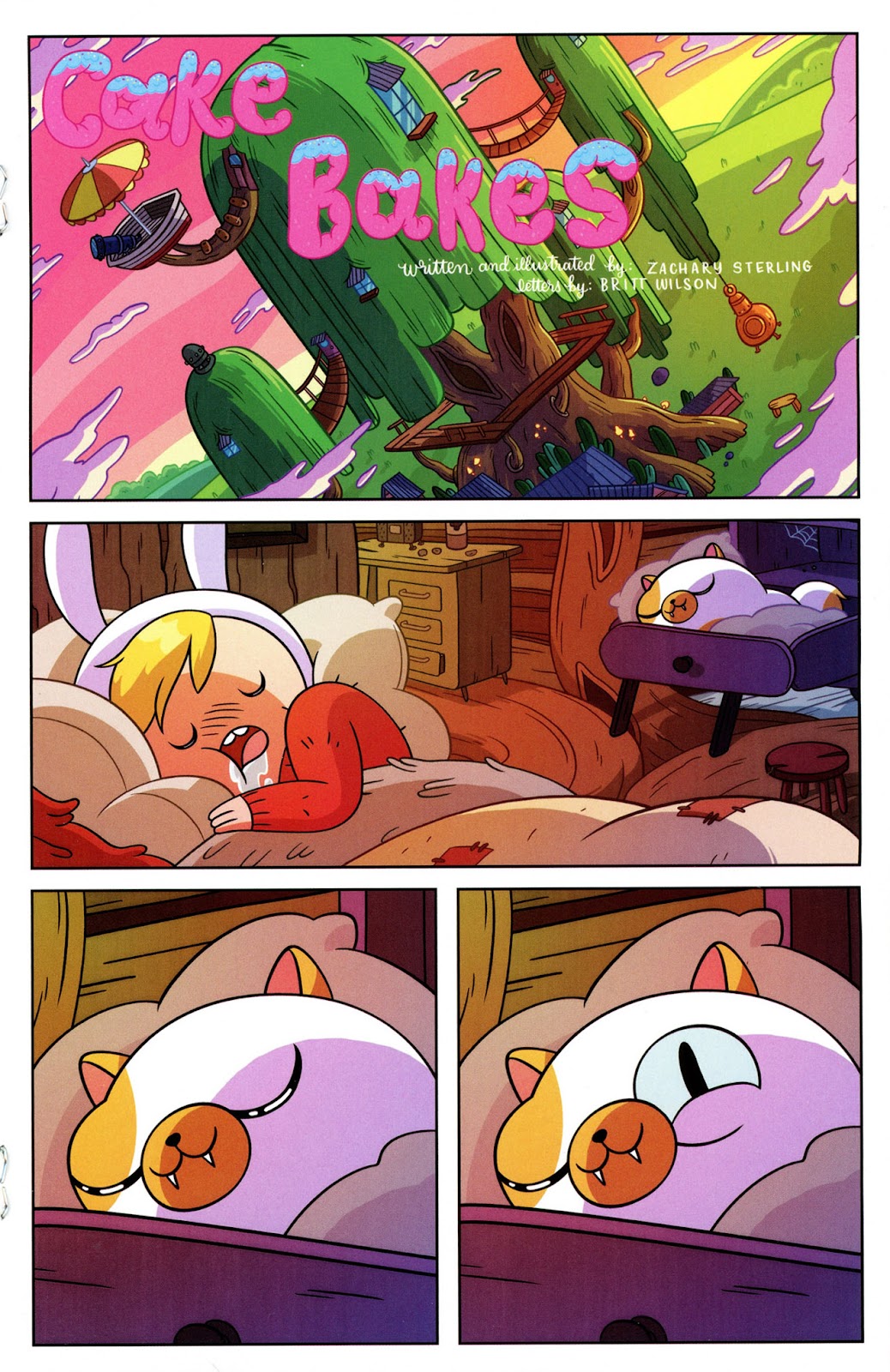 Adventure Time Comics issue 5 - Page 17