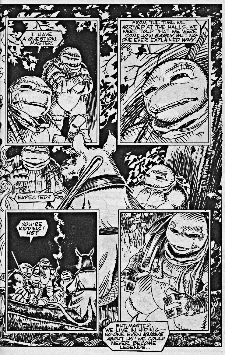 Read online Teenage Mutant Ninja Turtles (1984) comic -  Issue #43 - 45