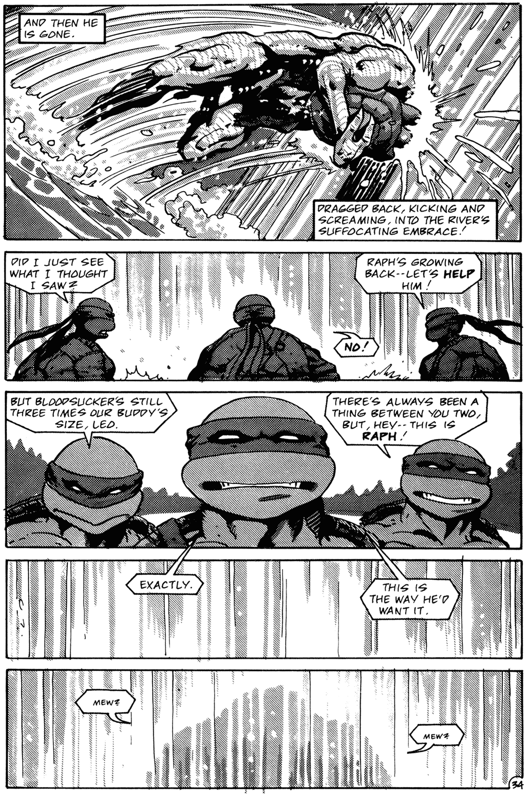 Teenage Mutant Ninja Turtles (1984) Issue #26 #26 - English 36