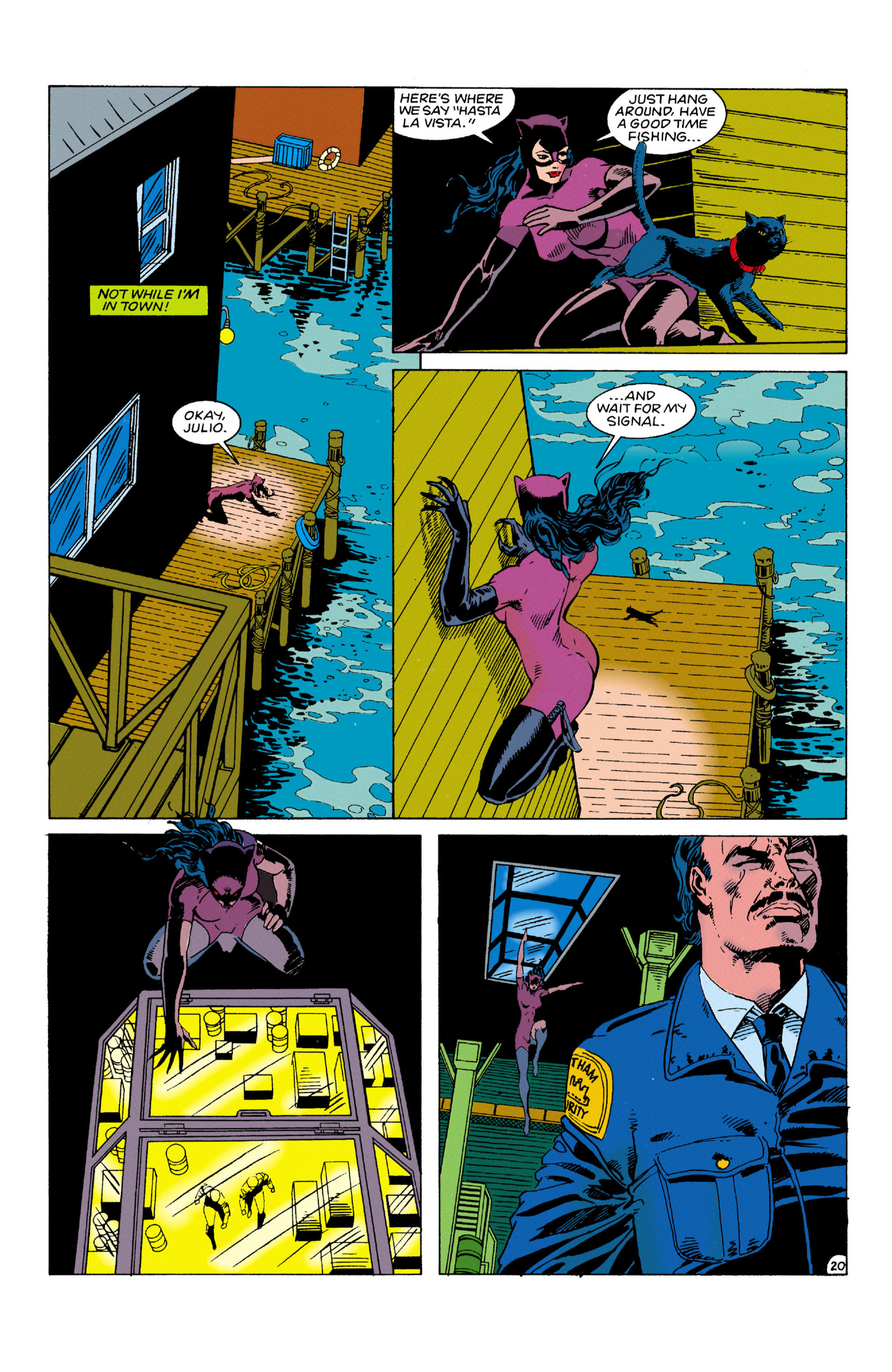 Read online Catwoman (1993) comic -  Issue #6 - 21