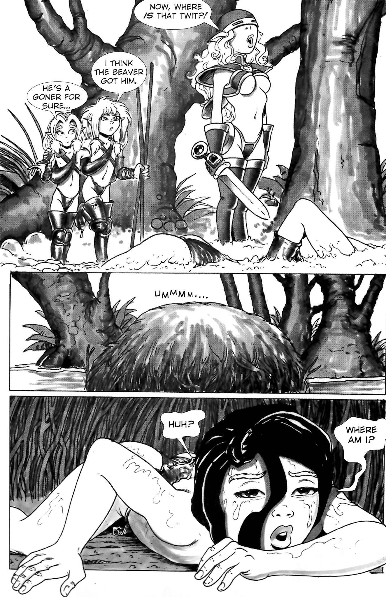 Read online Lynx, An Elflord Tale comic -  Issue # Full - 15