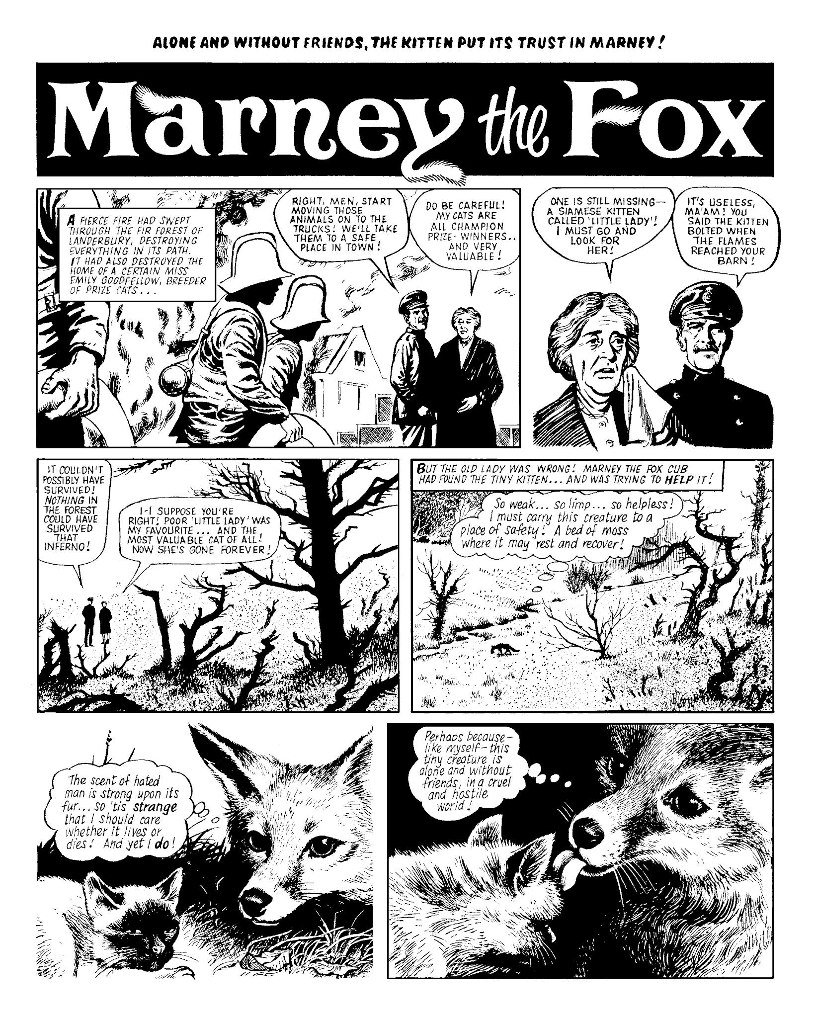 Read online Marney the Fox comic -  Issue # TPB (Part 2) - 12