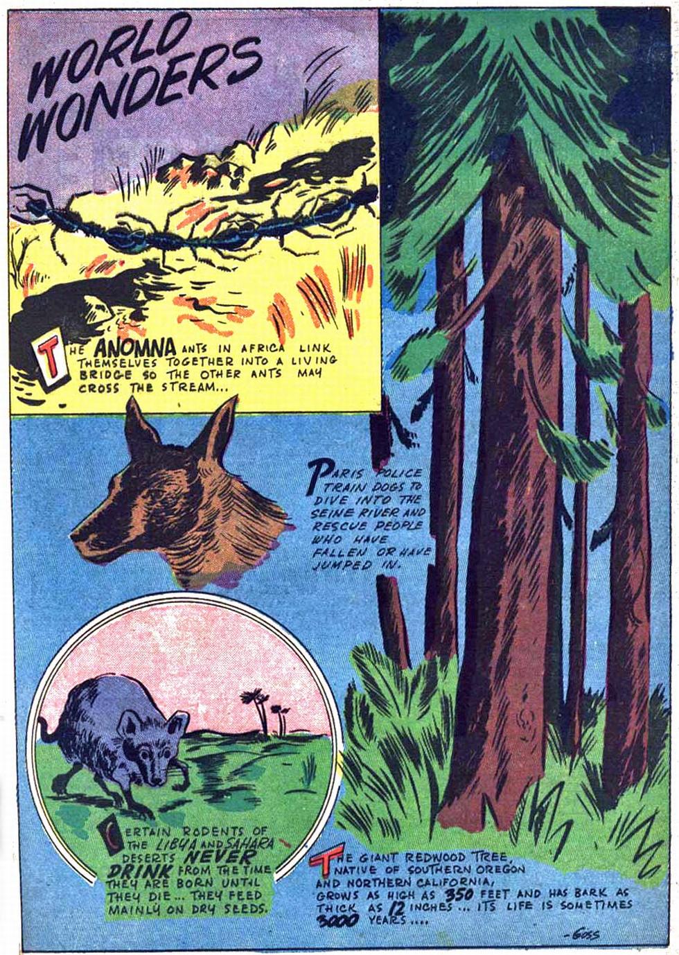 Read online Black Hood Comics comic -  Issue #12 - 49