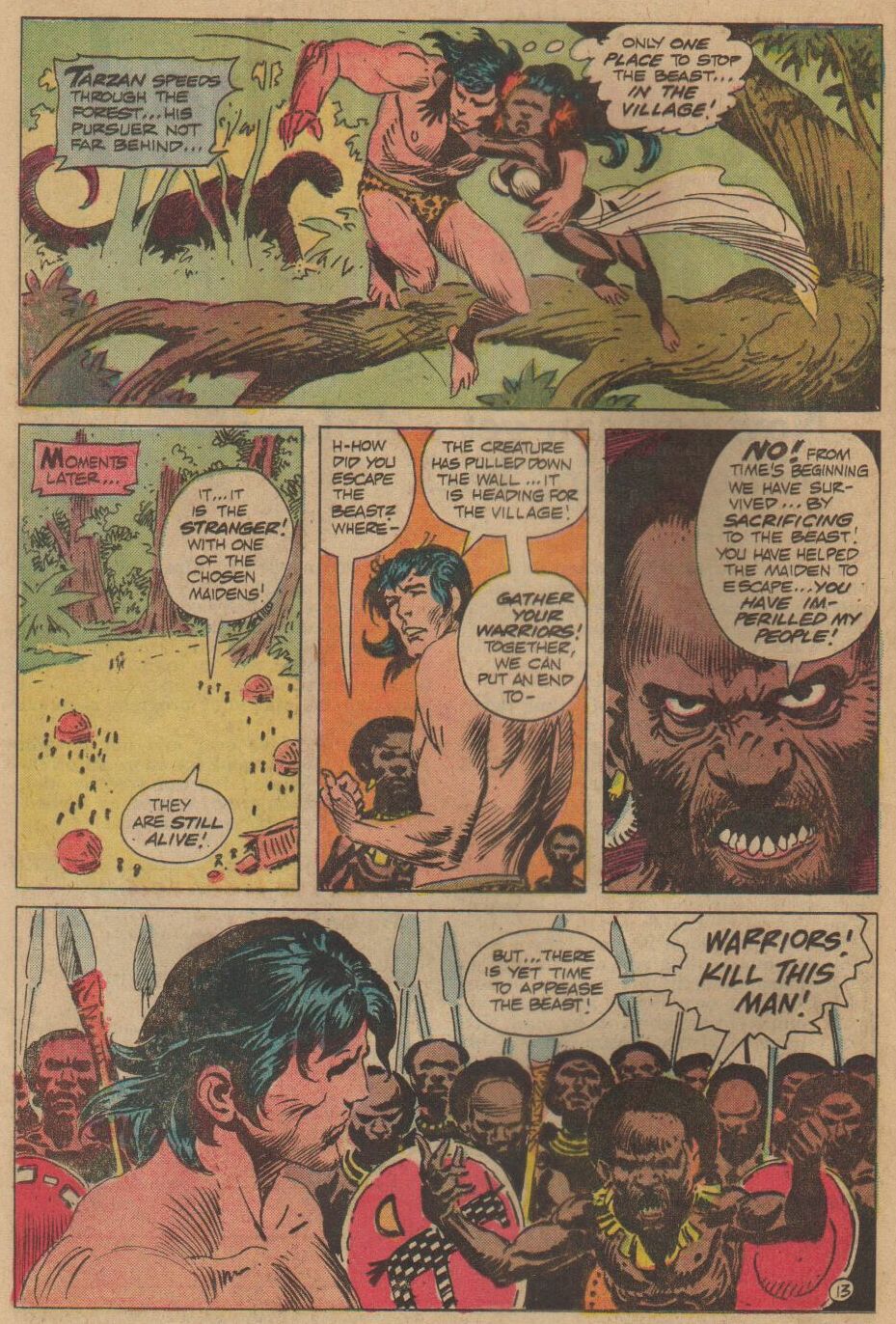 Read online Tarzan (1972) comic -  Issue #228 - 14