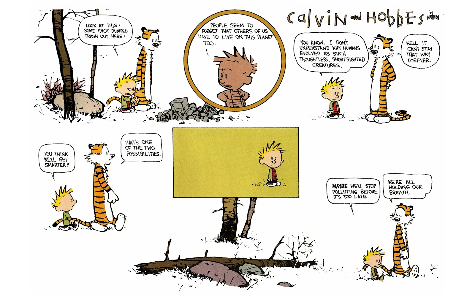 Calvin and Hobbes issue 10 - Page 117