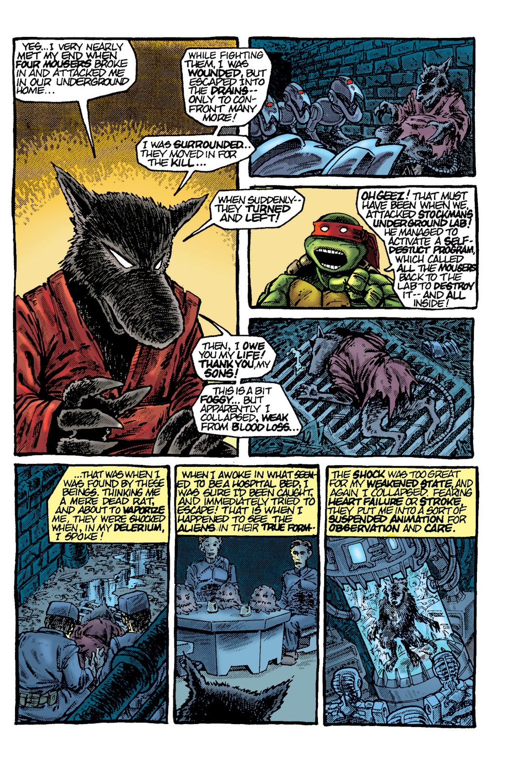 Teenage Mutant Ninja Turtles Color Classics (2012) issue 7 - Page 19