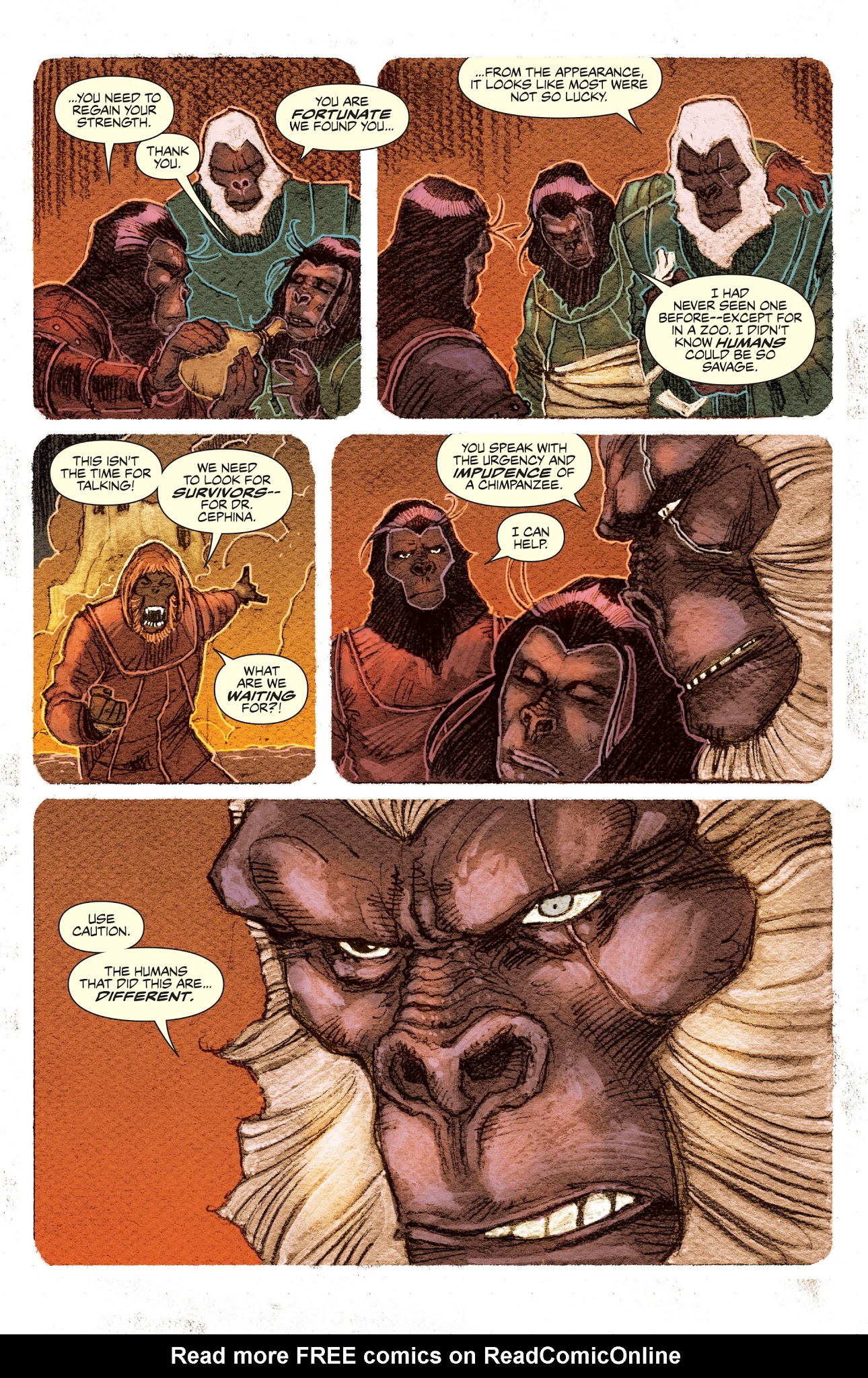 Read online Planet of the Apes: Ursus comic -  Issue #2 - 20
