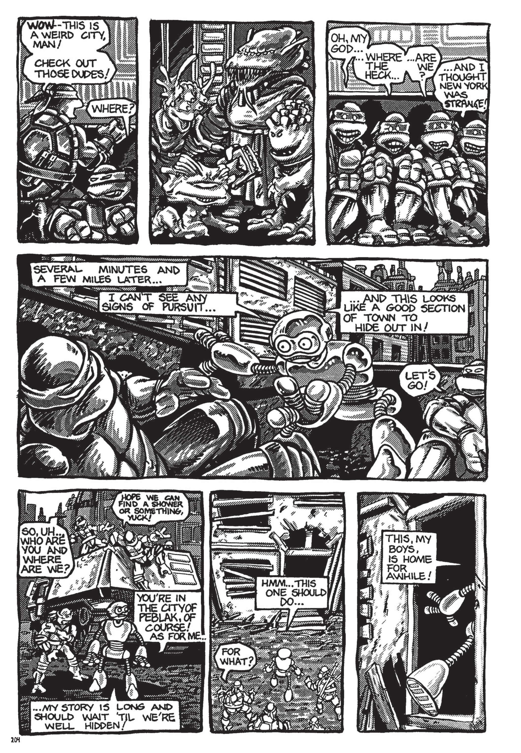Read online Teenage Mutant Ninja Turtles: The Ultimate Collection comic -  Issue # TPB 1 (Part 3) - 5