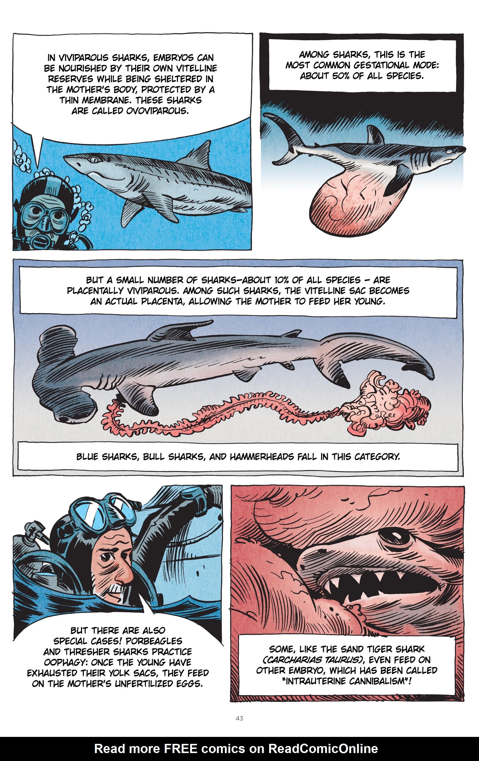 Read online Little Book of Knowledge: Sharks comic -  Issue # TPB - 43