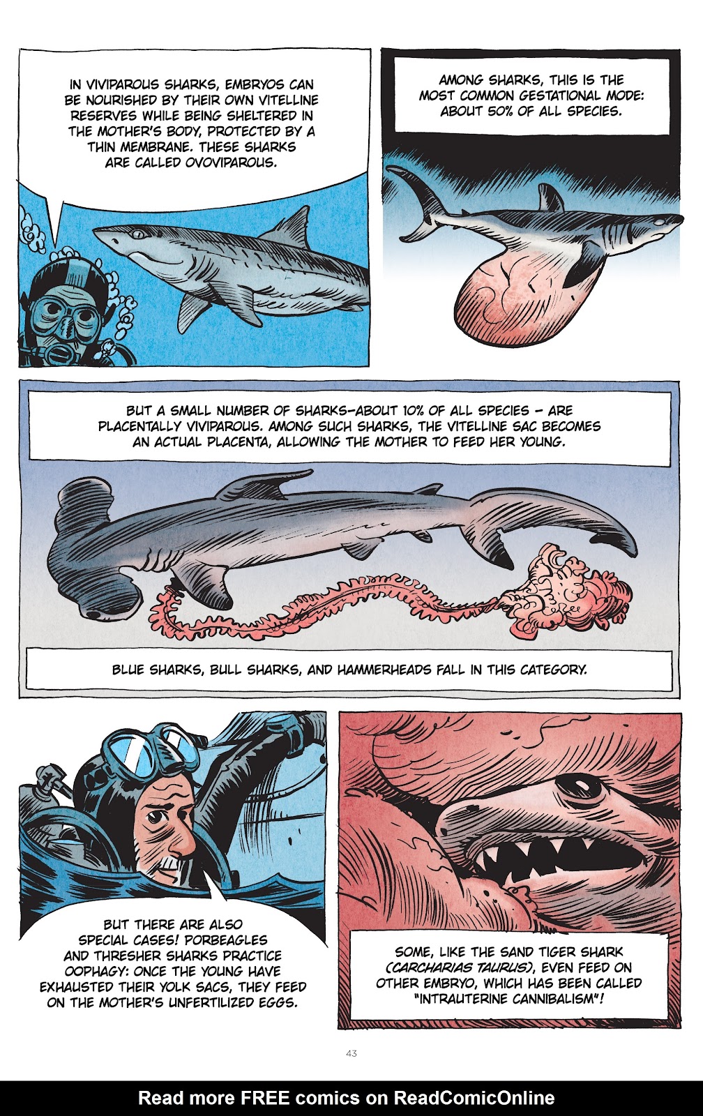 Little Book of Knowledge: Sharks issue TPB - Page 43