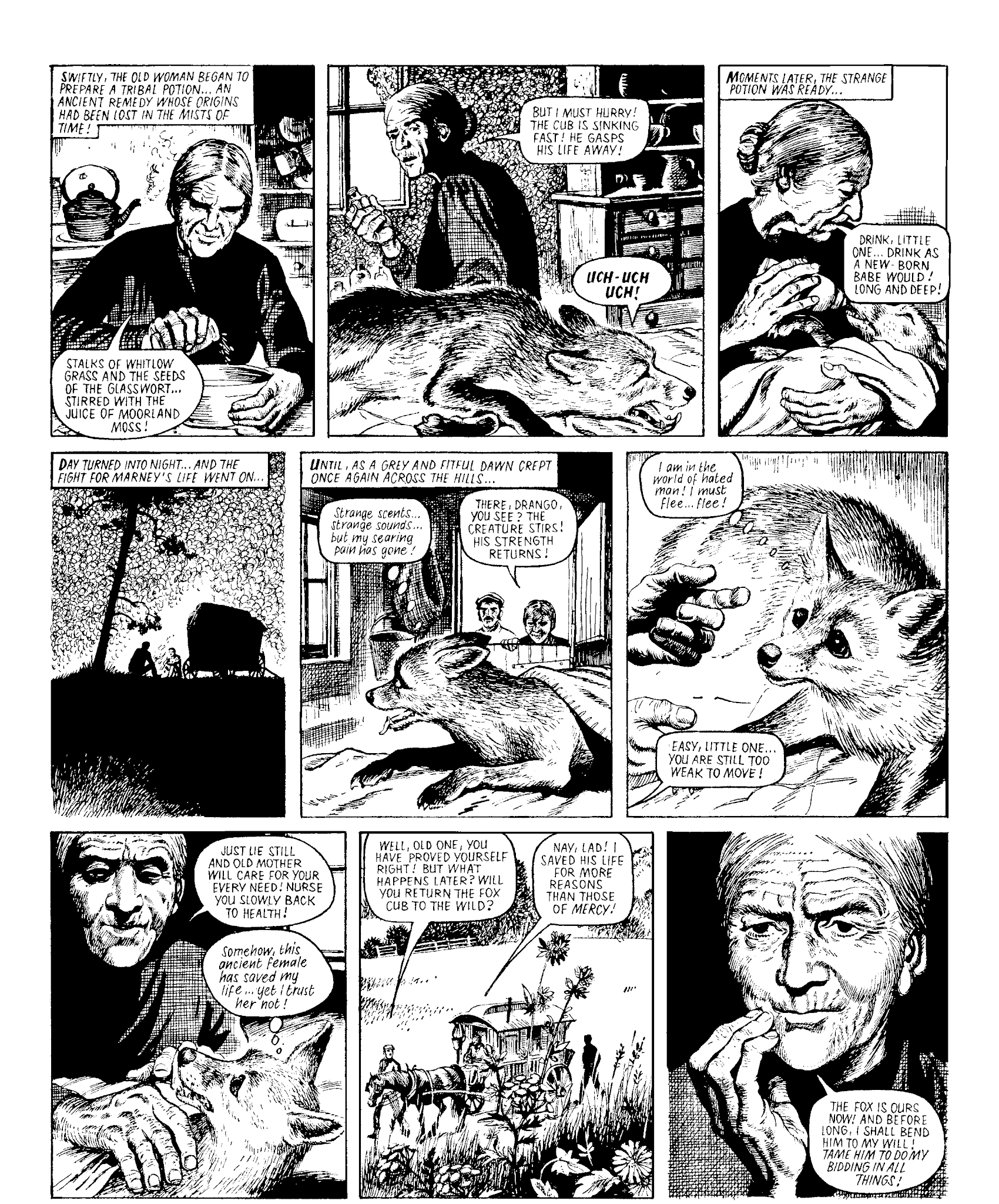 Read online Marney the Fox comic -  Issue # TPB (Part 1) - 96