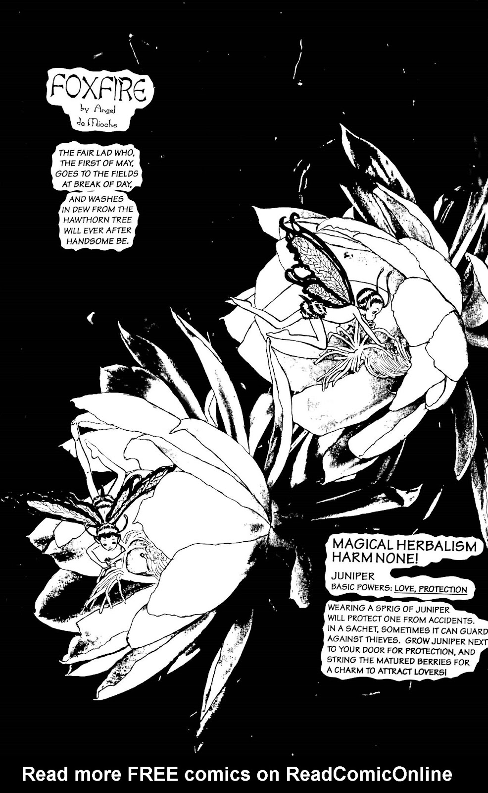 Elflore (1992) issue 2 - Page 25