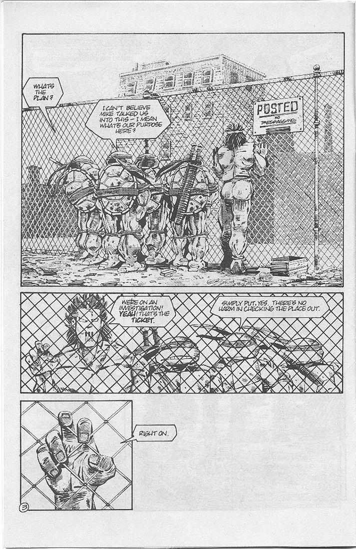 Tales of the Teenage Mutant Ninja Turtles issue 4 - Page 6