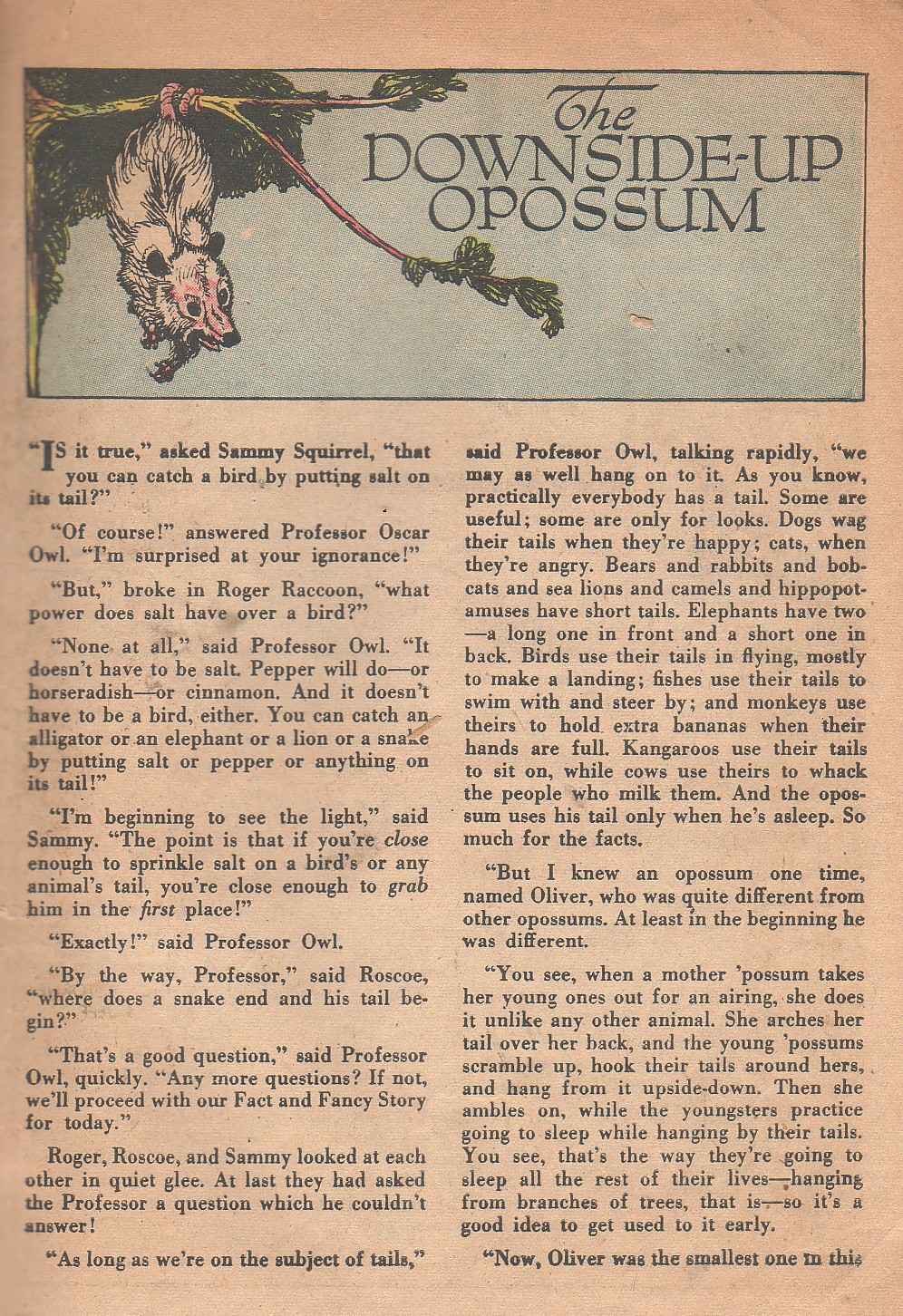 Read online Animal Antics comic -  Issue #23 - 40