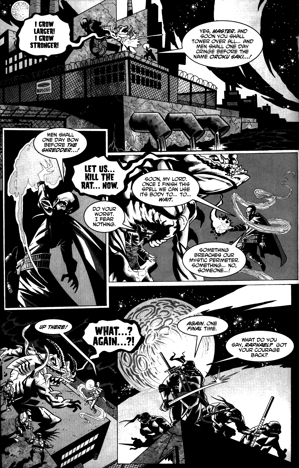 Tales of the TMNT issue 4 - Page 13