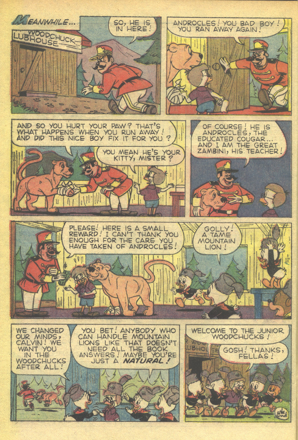 Read online Huey, Dewey, and Louie Junior Woodchucks comic -  Issue #7 - 32