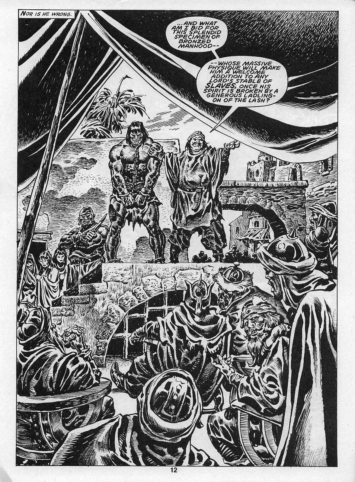 The Savage Sword Of Conan issue 205 - Page 14