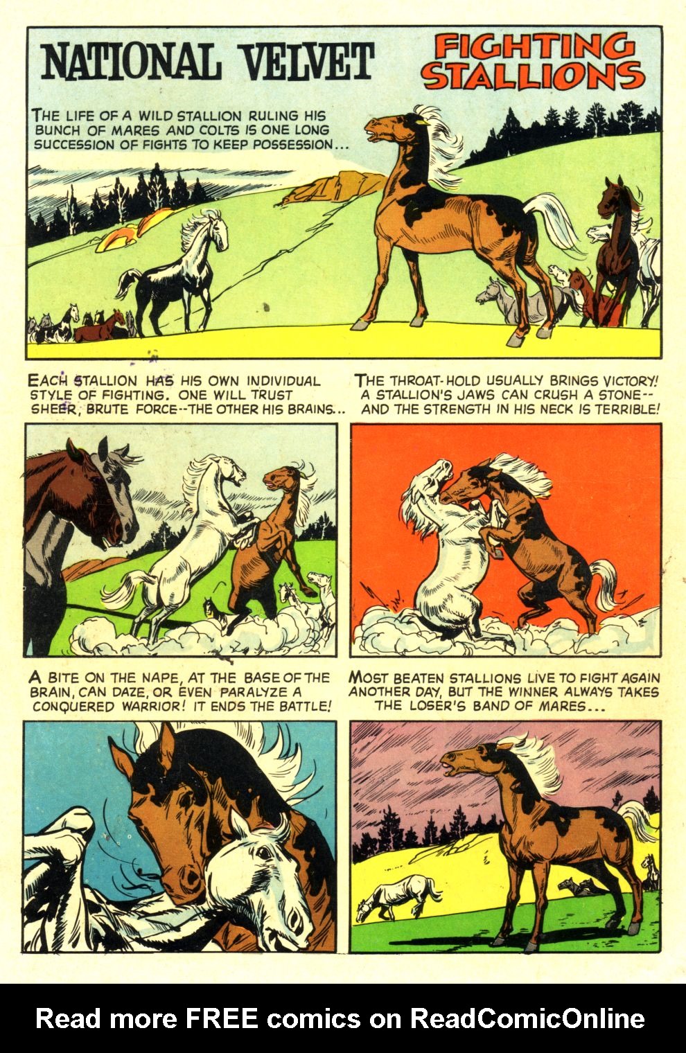 Read online Four Color Comics comic -  Issue #1312 - 36