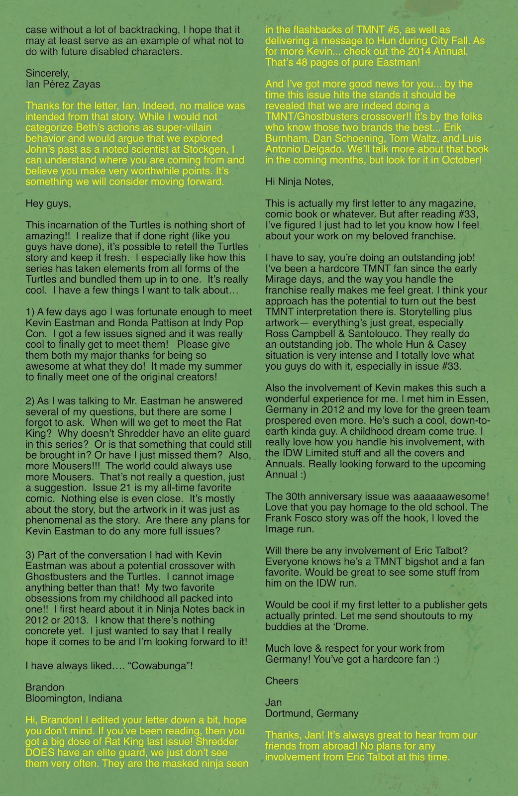 Teenage Mutant Ninja Turtles (2011) issue 37 - Page 29