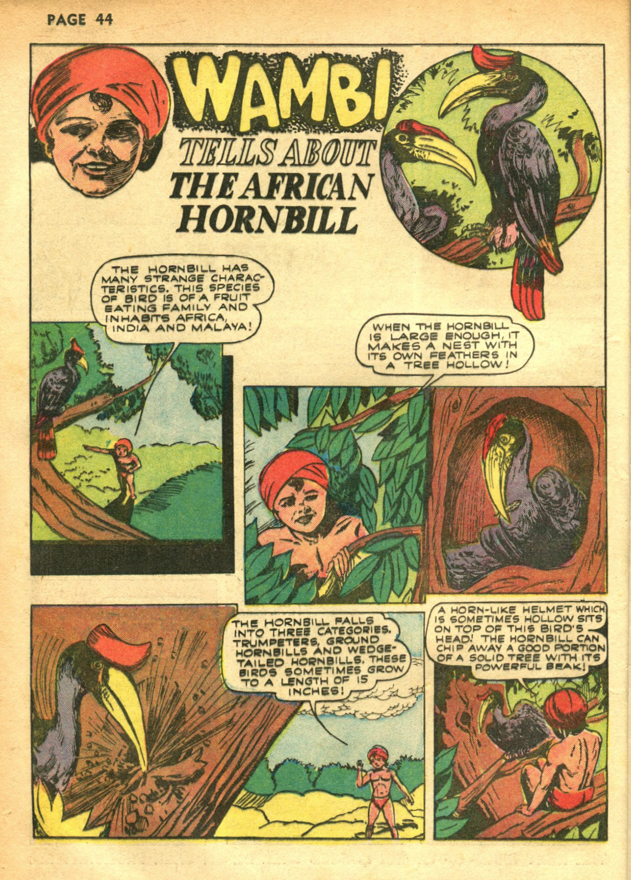 Read online Wambi Jungle Boy comic -  Issue #2 - 45