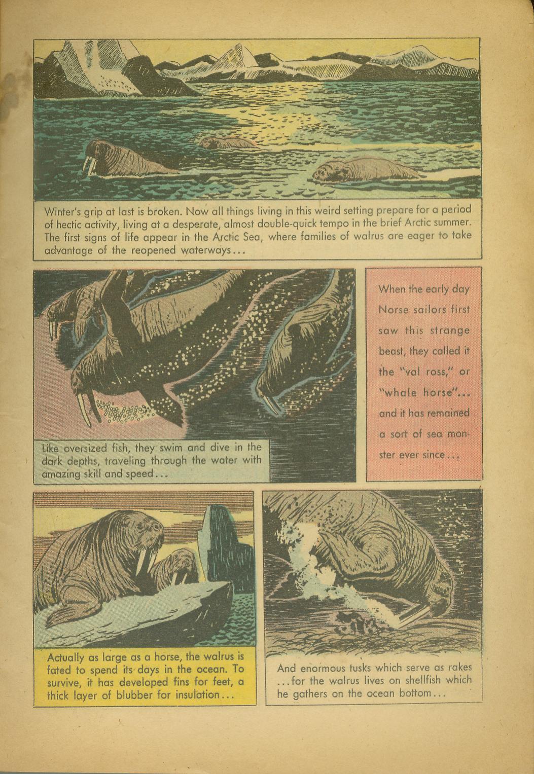 Read online Four Color Comics comic -  Issue #943 - 5