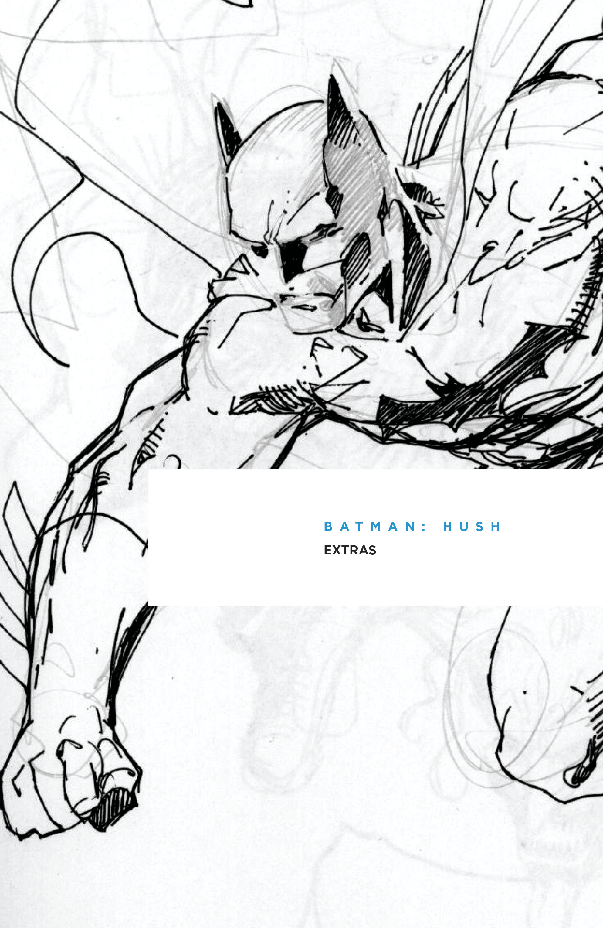 Read online Batman (1940) comic -  Issue # _TPB Batman - Hush (New Edition) (Part 4) - 19