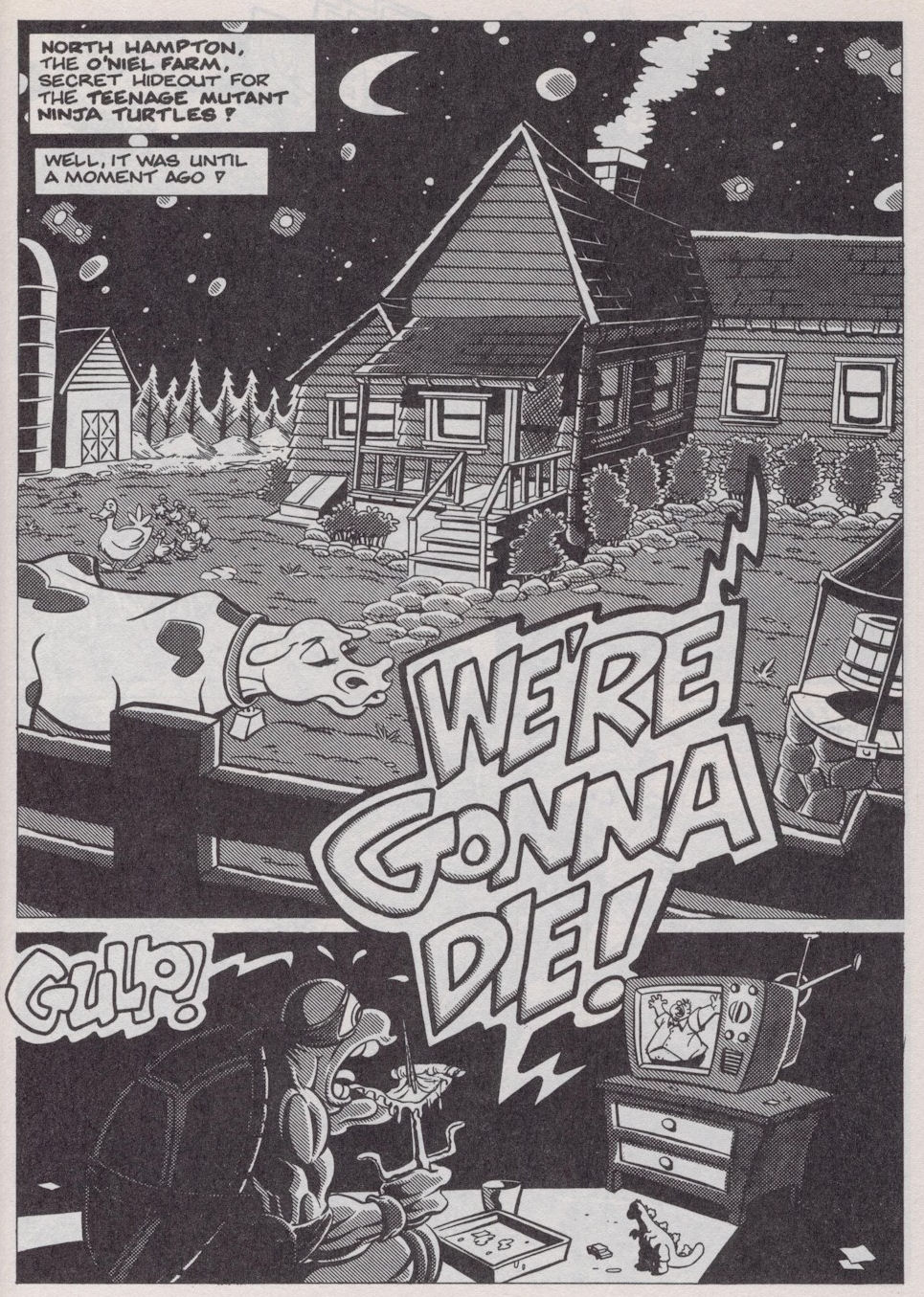 Read online Teenage Mutant Ninja Turtles (1984) comic -  Issue #38 - 8