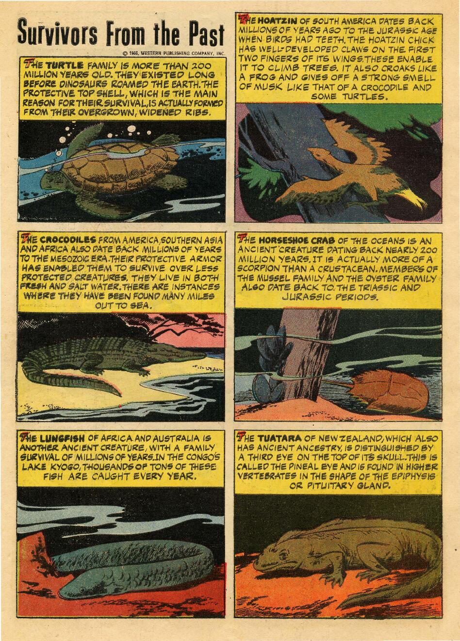 Read online Tarzan (1962) comic -  Issue #162 - 34