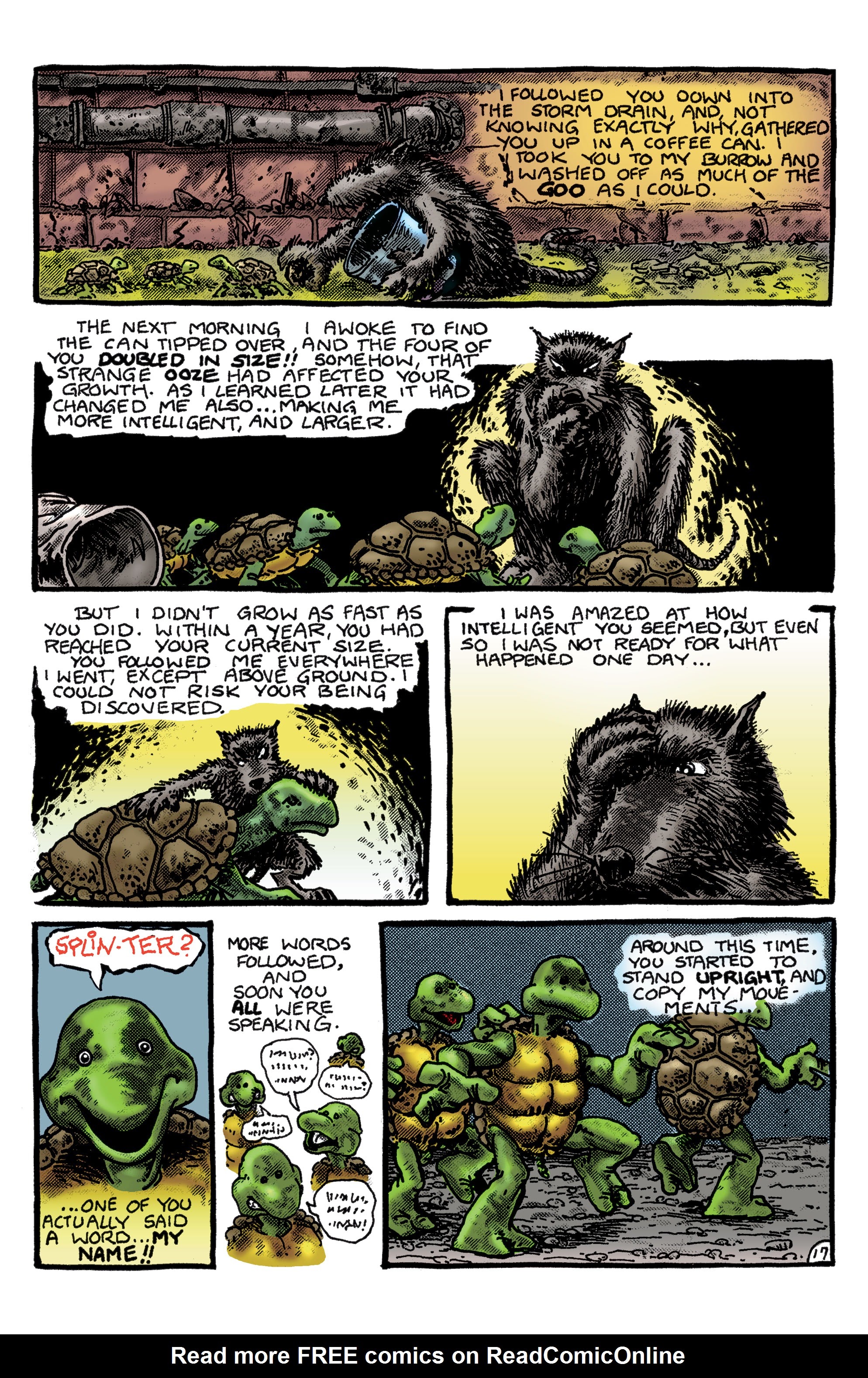 Read online Teenage Mutant Ninja Turtles: Best Of comic -  Issue # Best of Shredder - 18