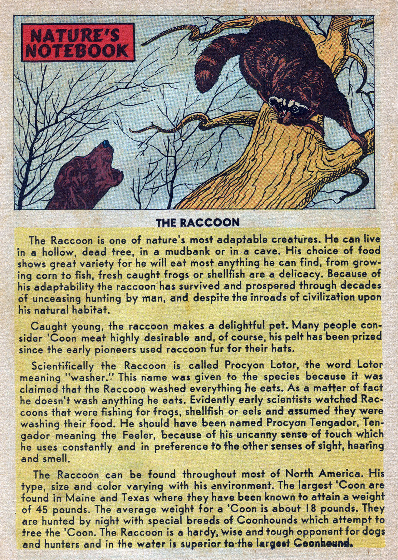 Read online Archie's Pal Jughead comic -  Issue #49 - 26