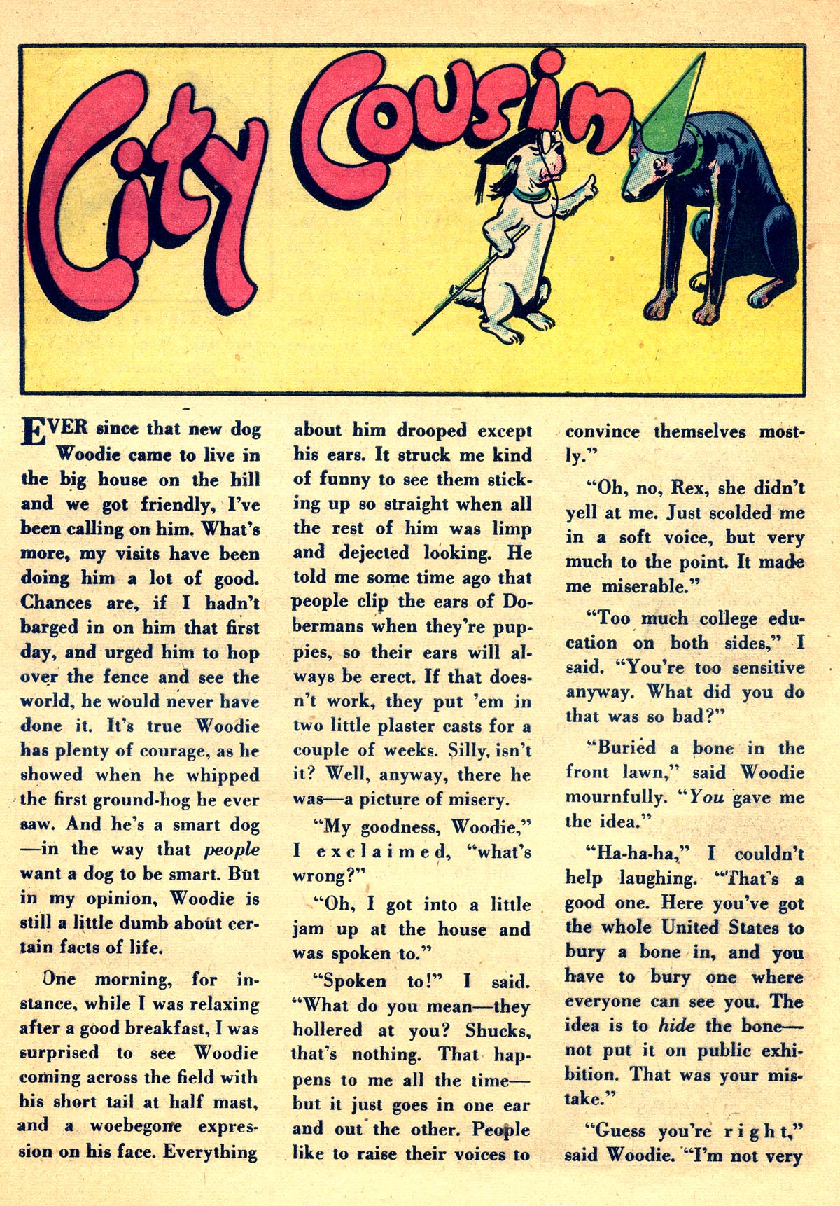 Read online Animal Antics comic -  Issue #7 - 41