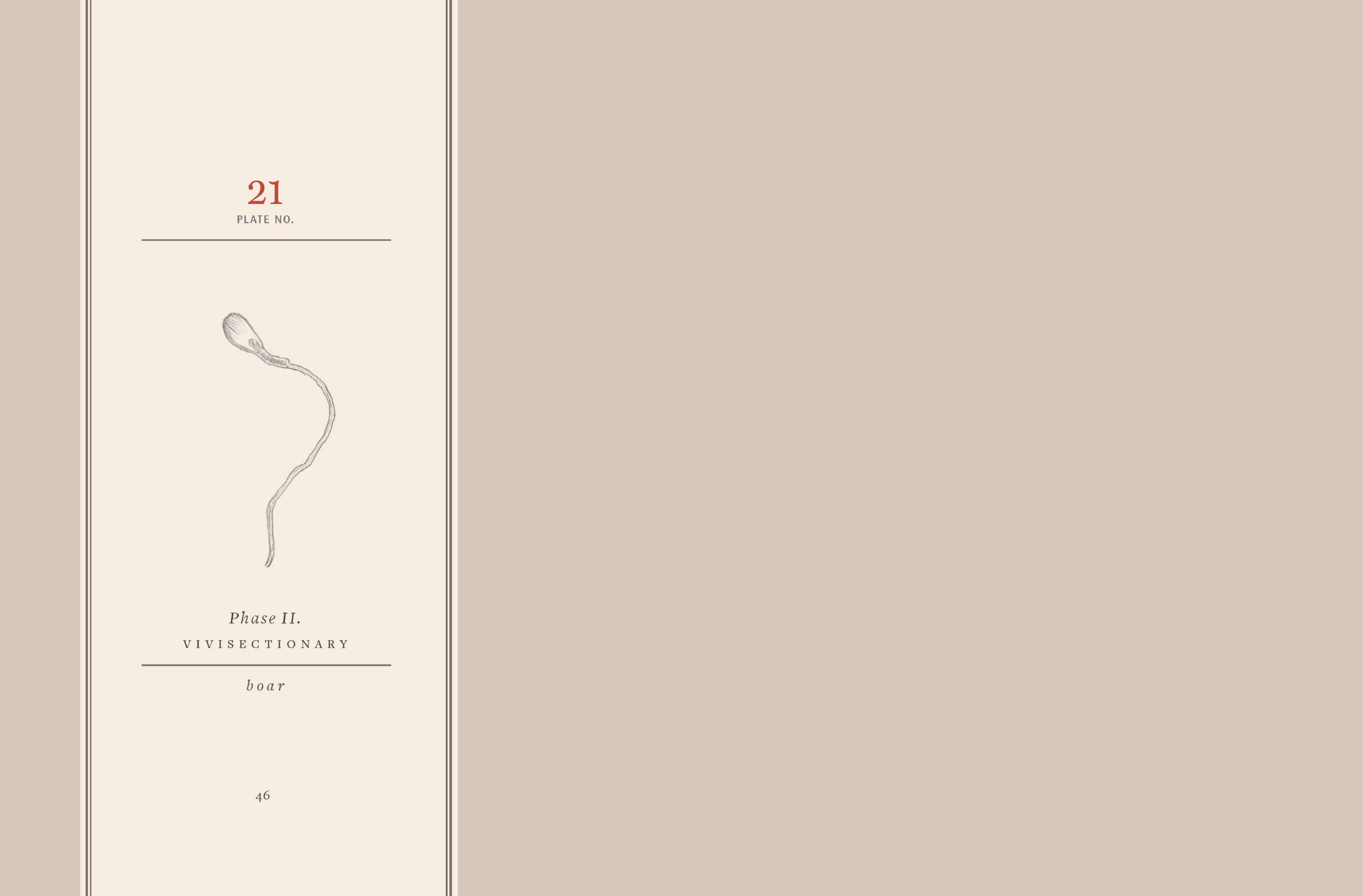 Read online Vivisectionary comic -  Issue # TPB - 47