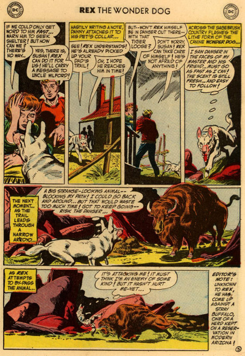 Read online The Adventures of Rex the Wonder Dog comic -  Issue #10 - 27