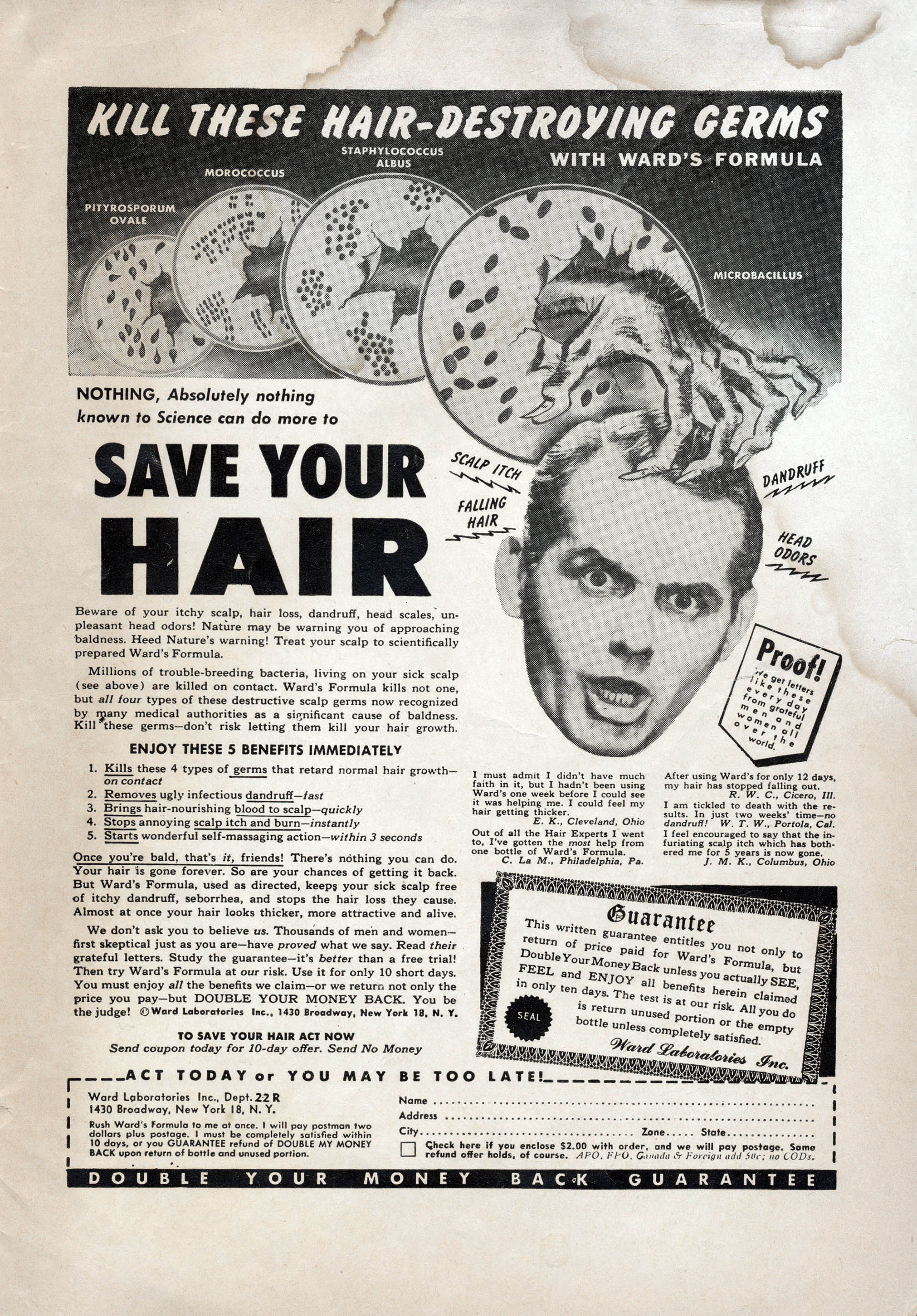 Read online Georgie Comics (1949) comic -  Issue #33 - 35