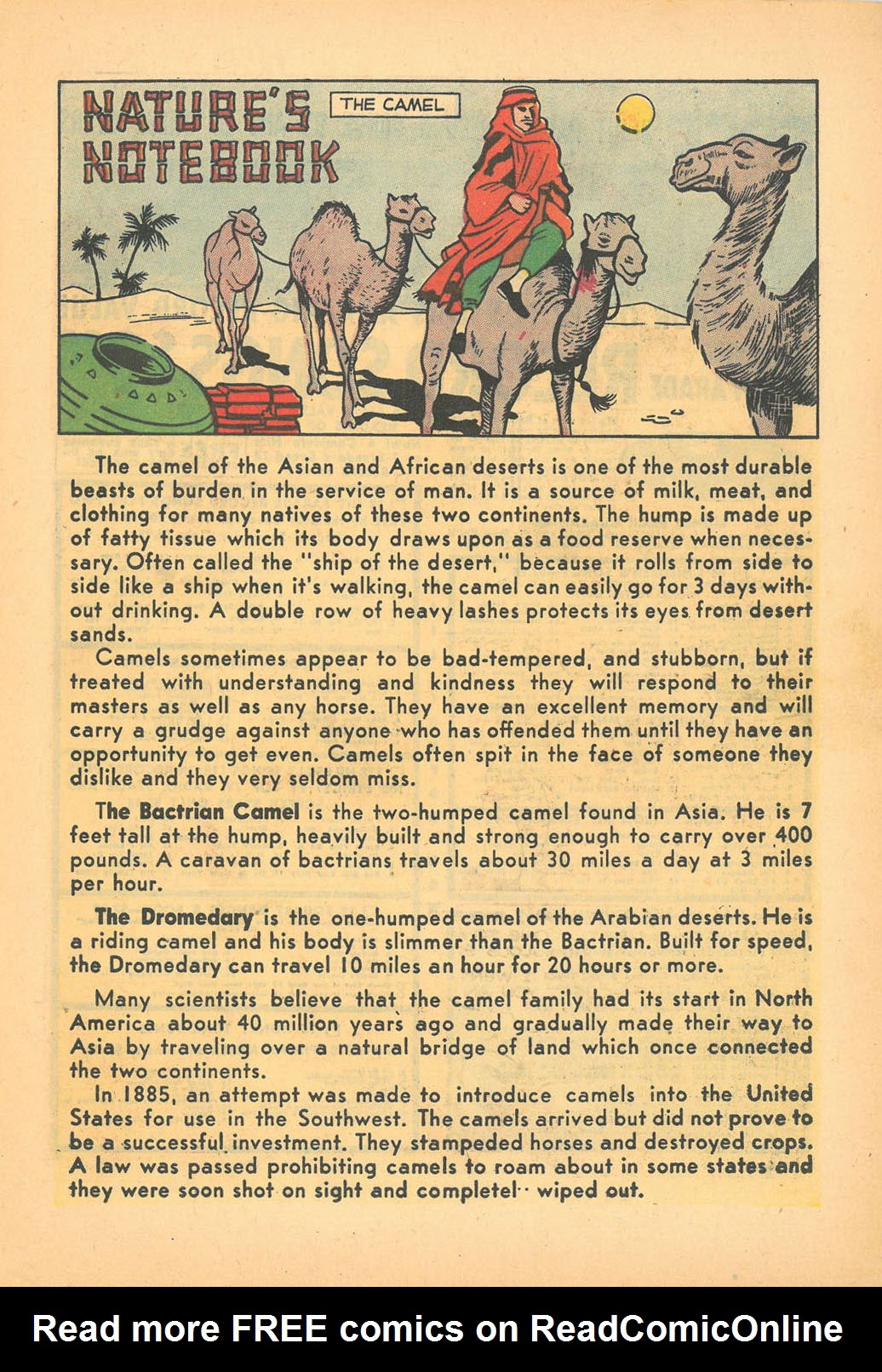Read online Super Duck Comics comic -  Issue #77 - 27