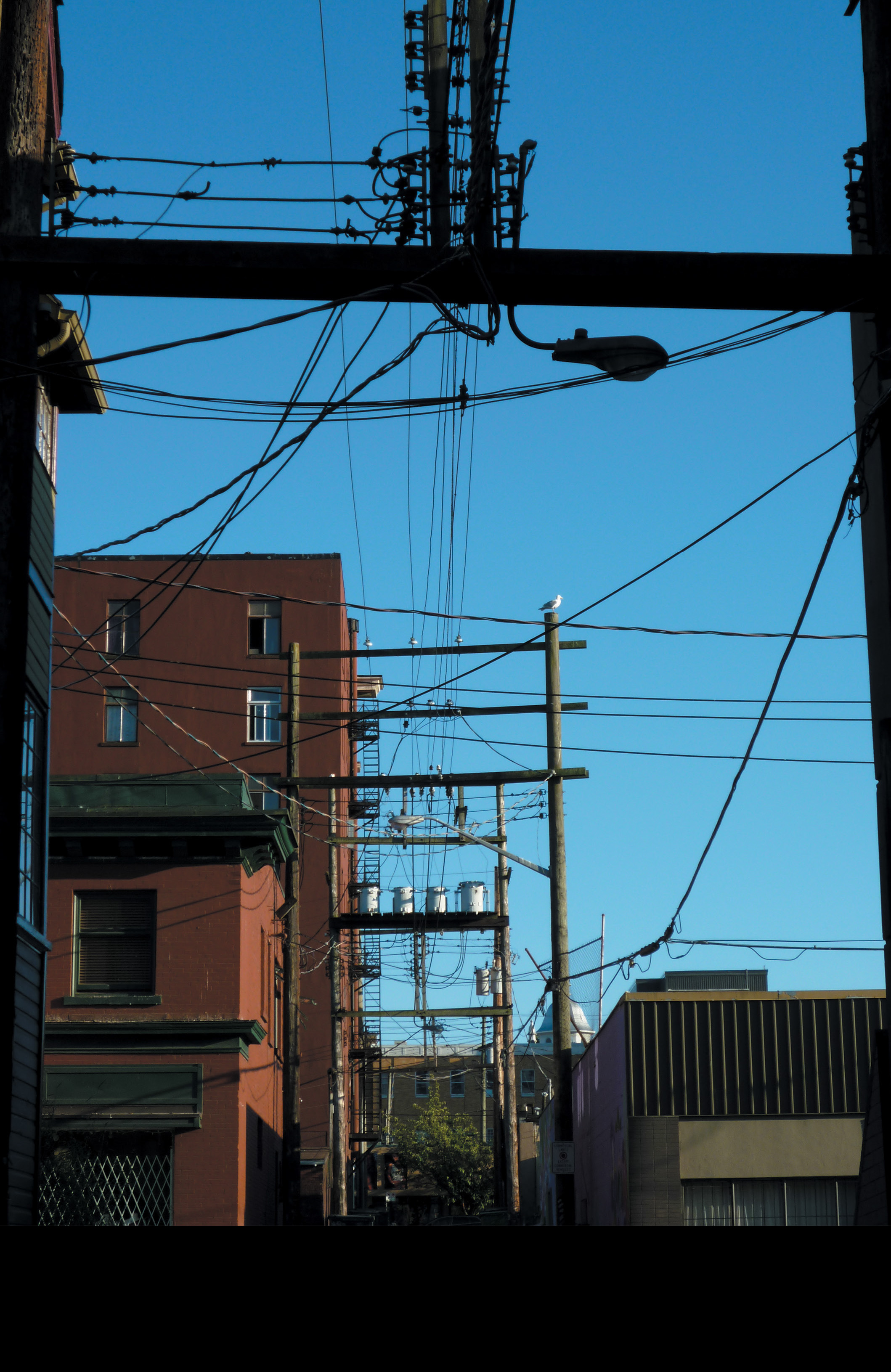 Read online Island (2015) comic -  Issue #3 - 98