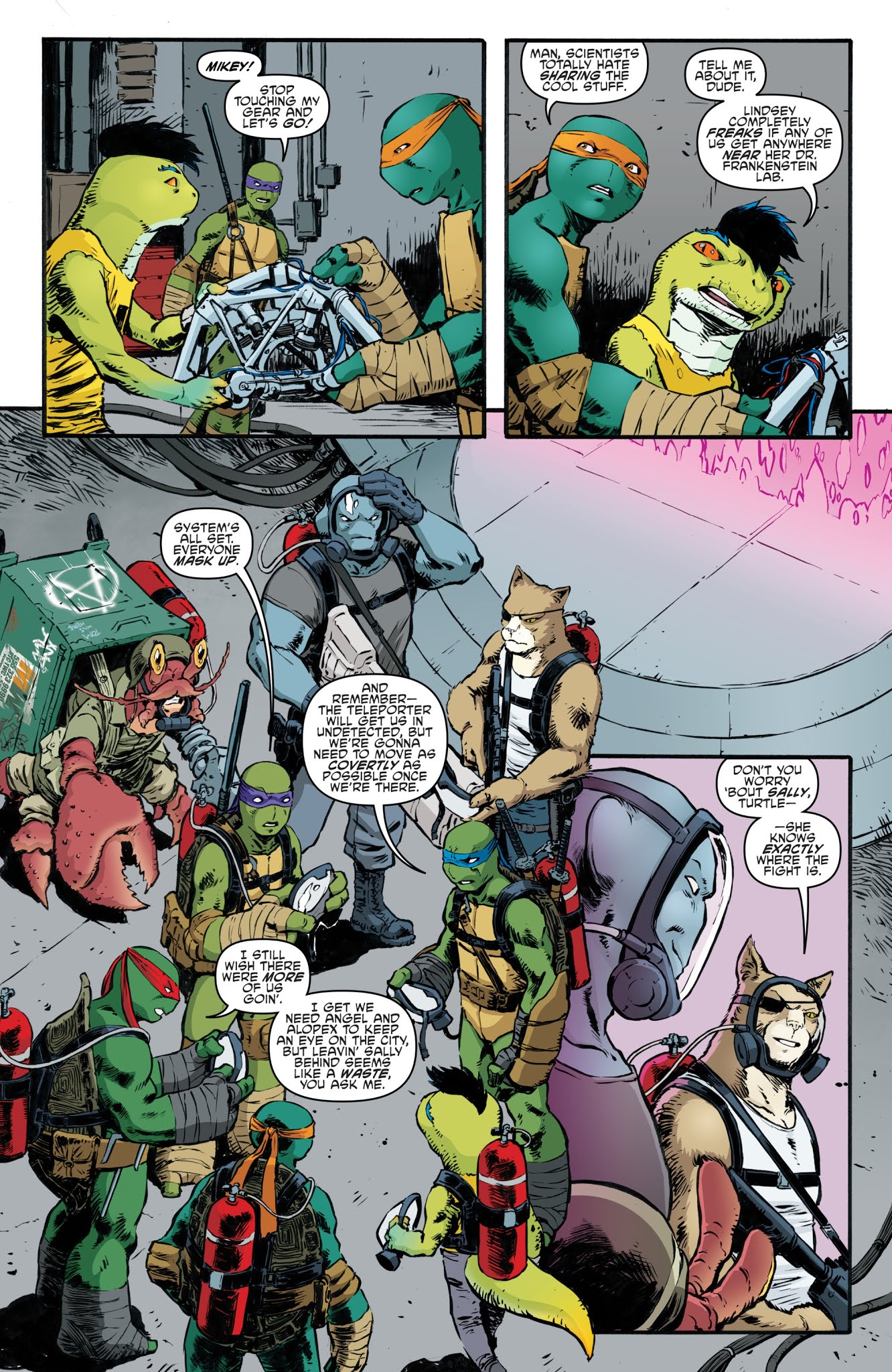 Read online Teenage Mutant Ninja Turtles (2011) comic -  Issue #87 - 9