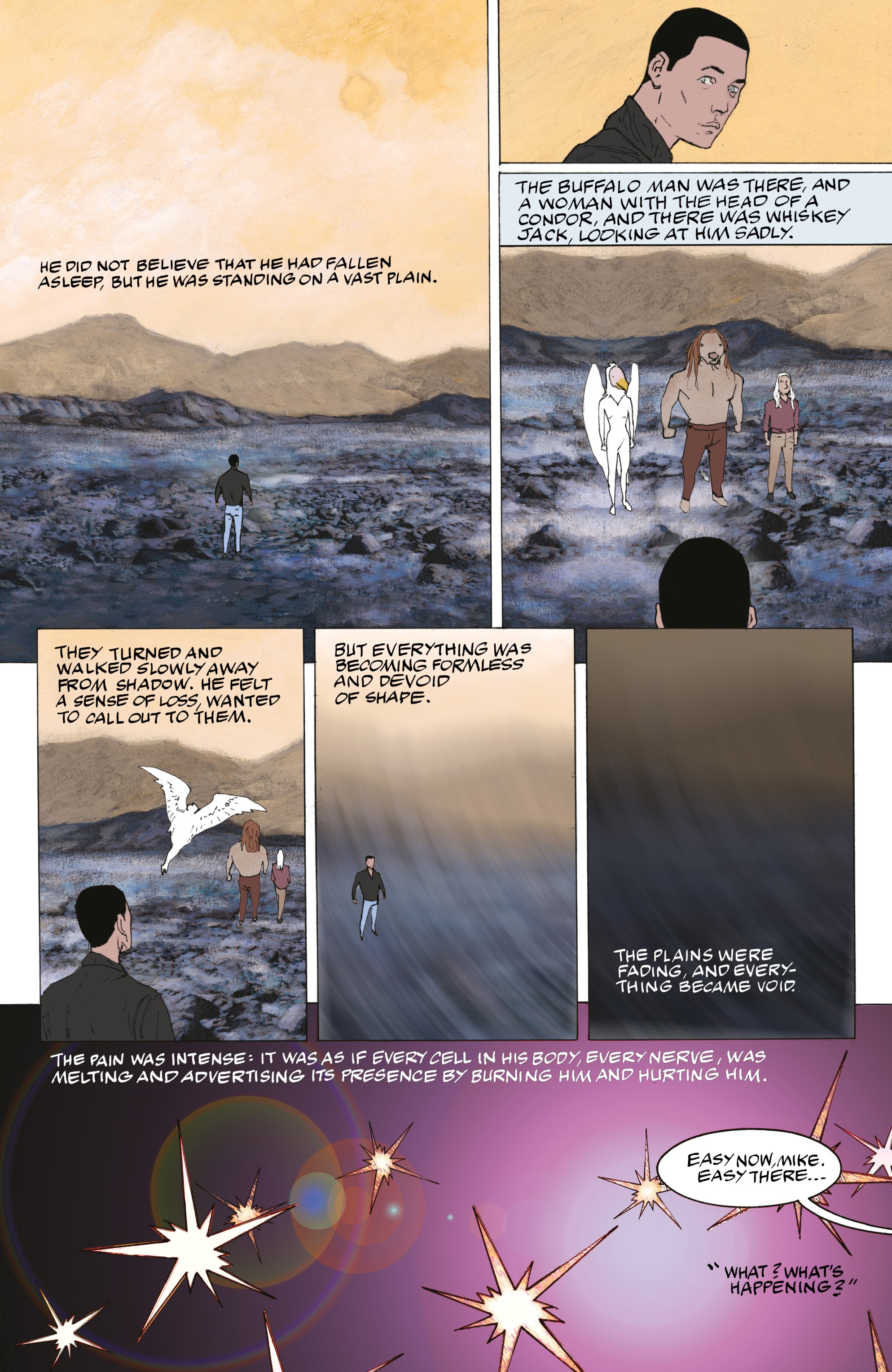 Read online American Gods: The Moment of the Storm comic -  Issue # _TPB (Part 2) - 87