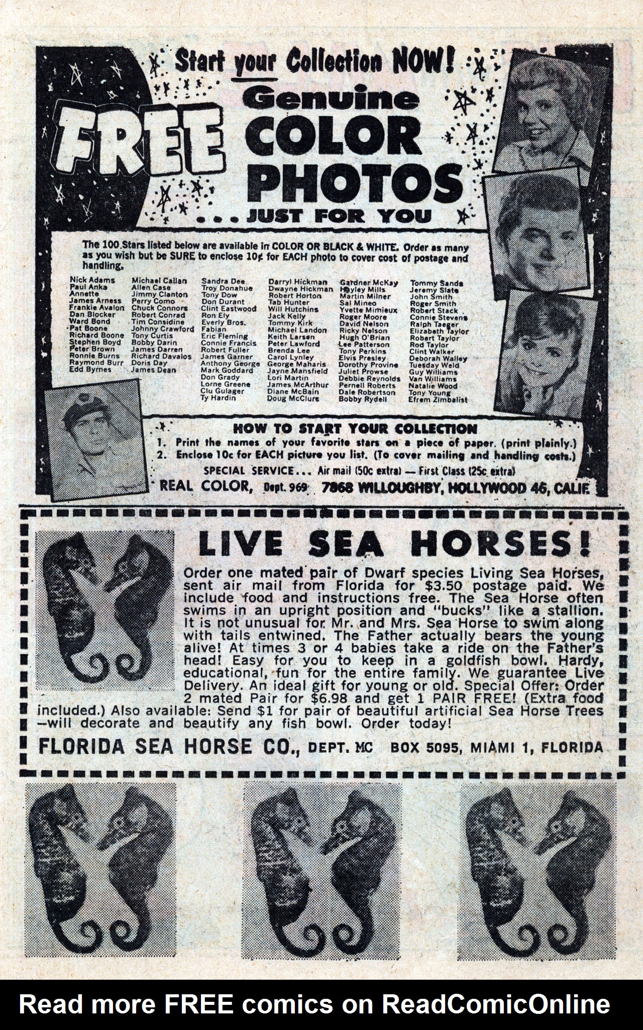 Read online Life With Millie comic -  Issue #17 - 19